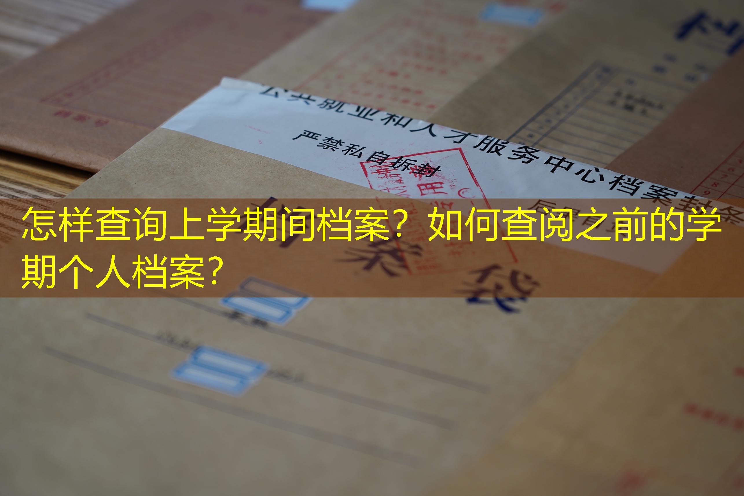 档案查询