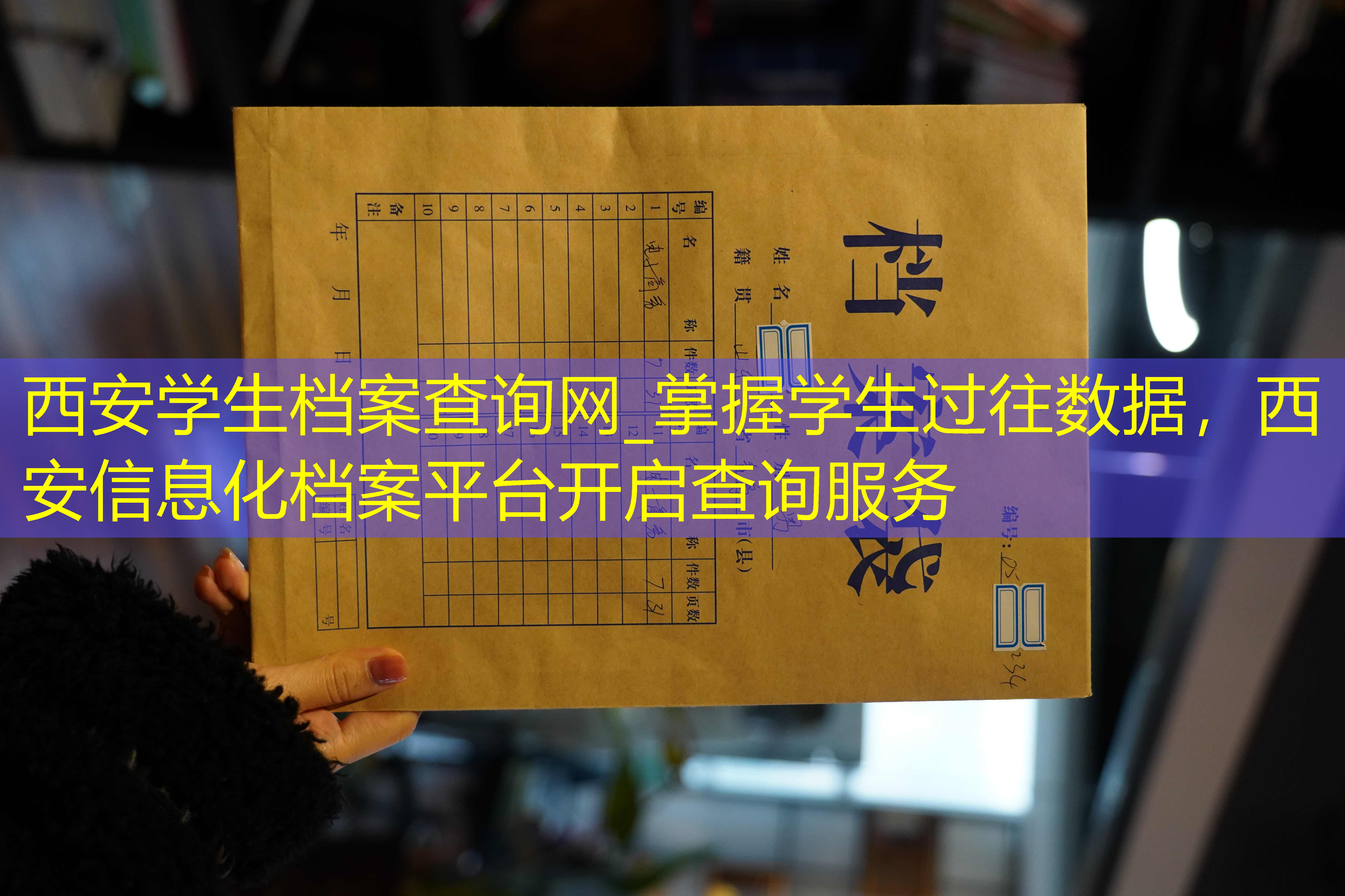 档案查询