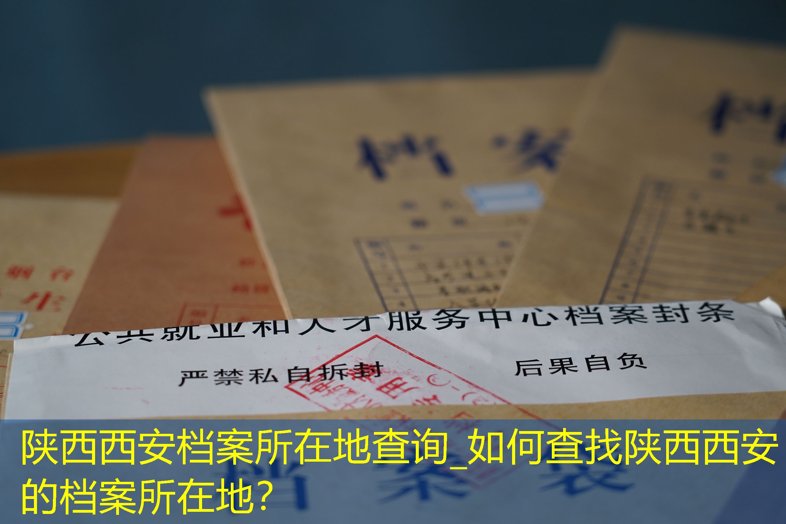 档案查询