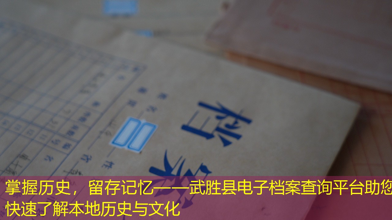 档案查询