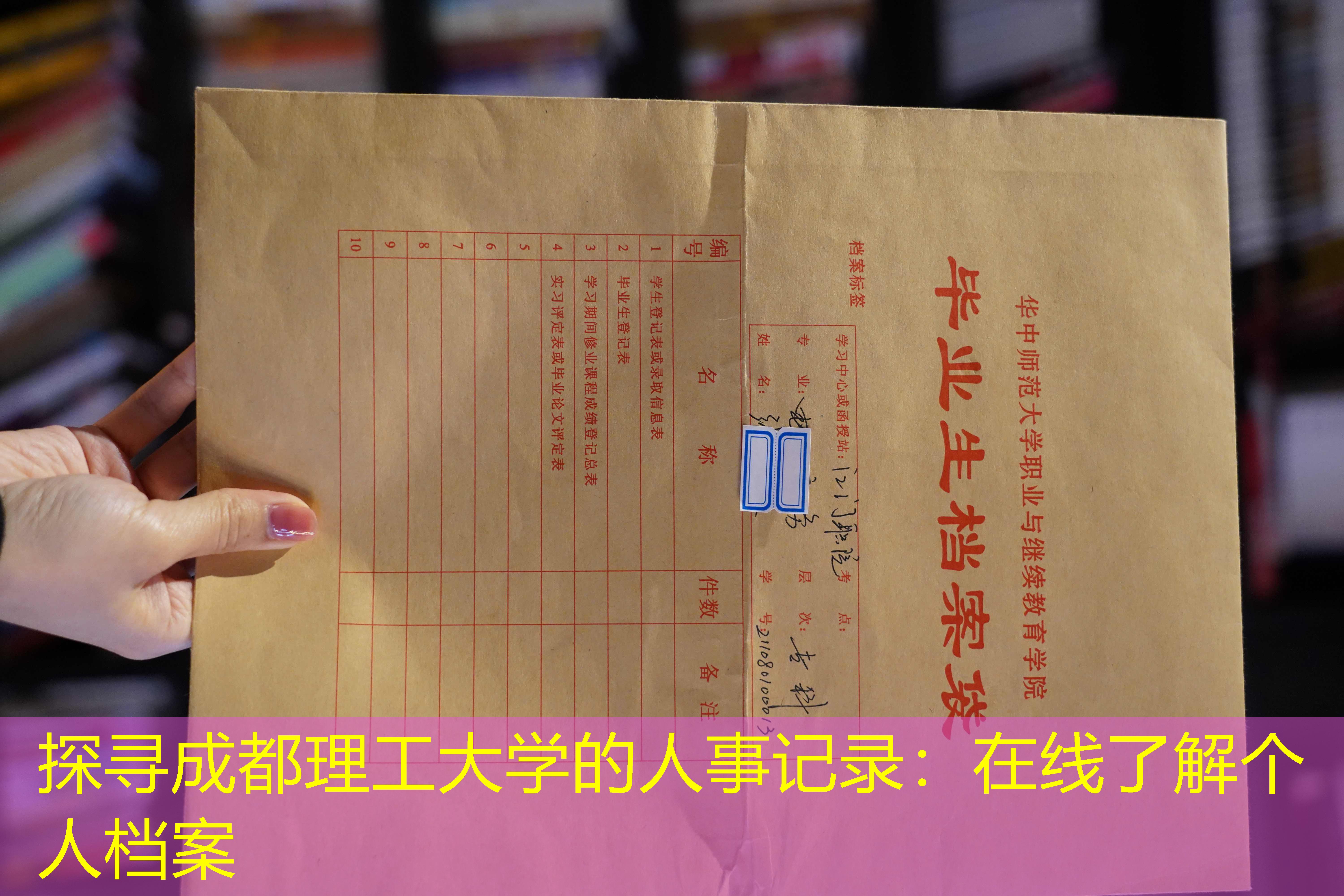 档案查询