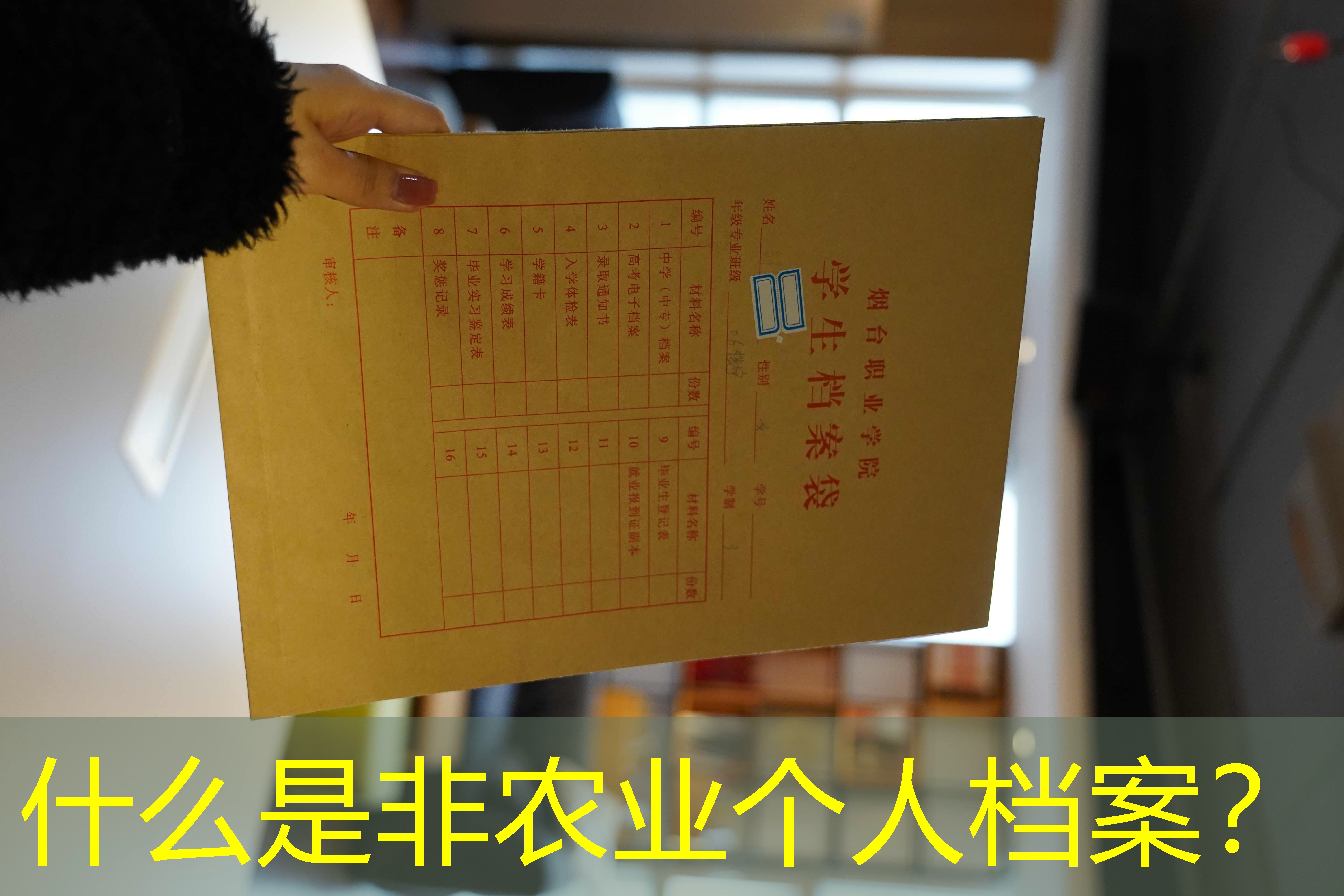 档案查询