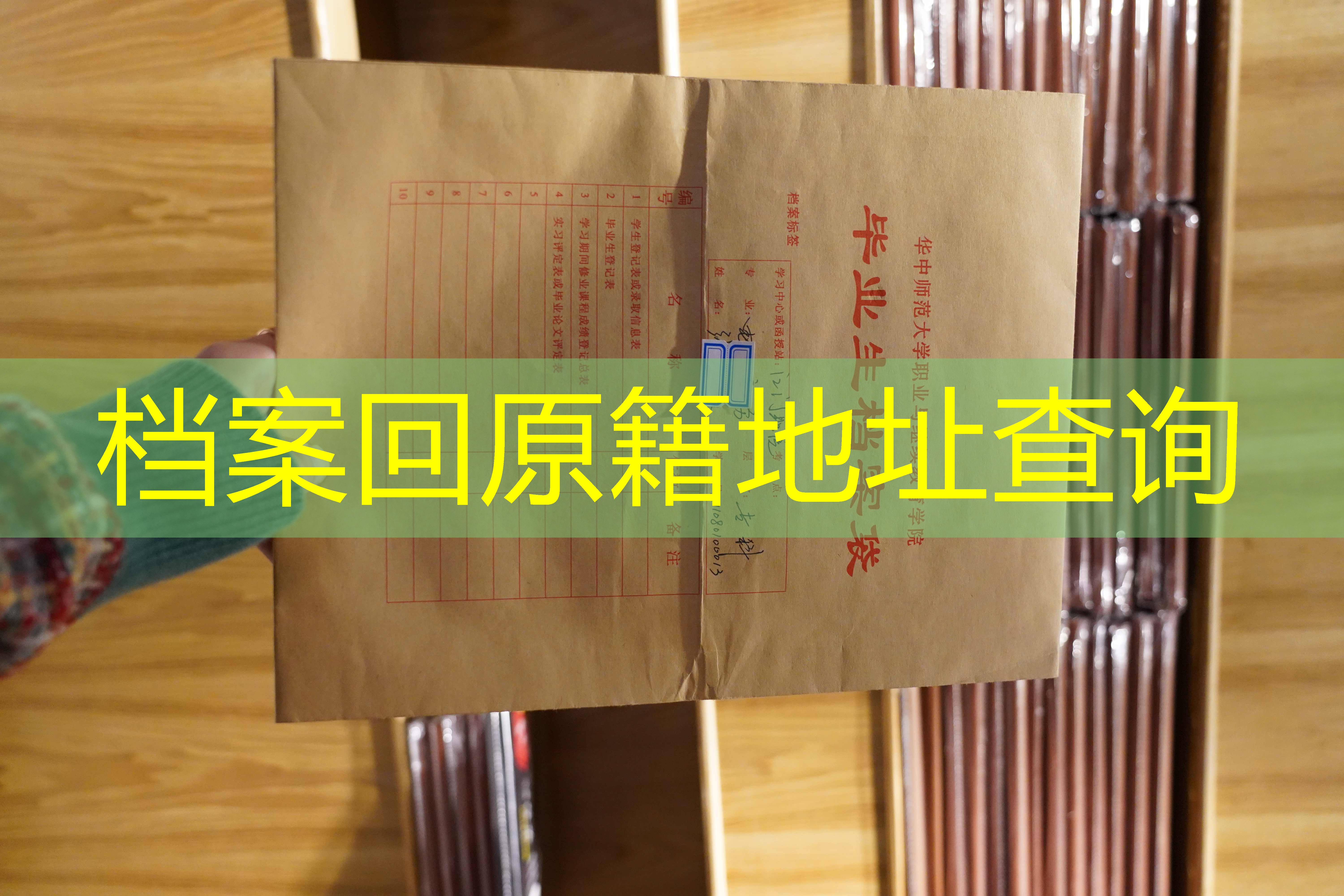 档案查询