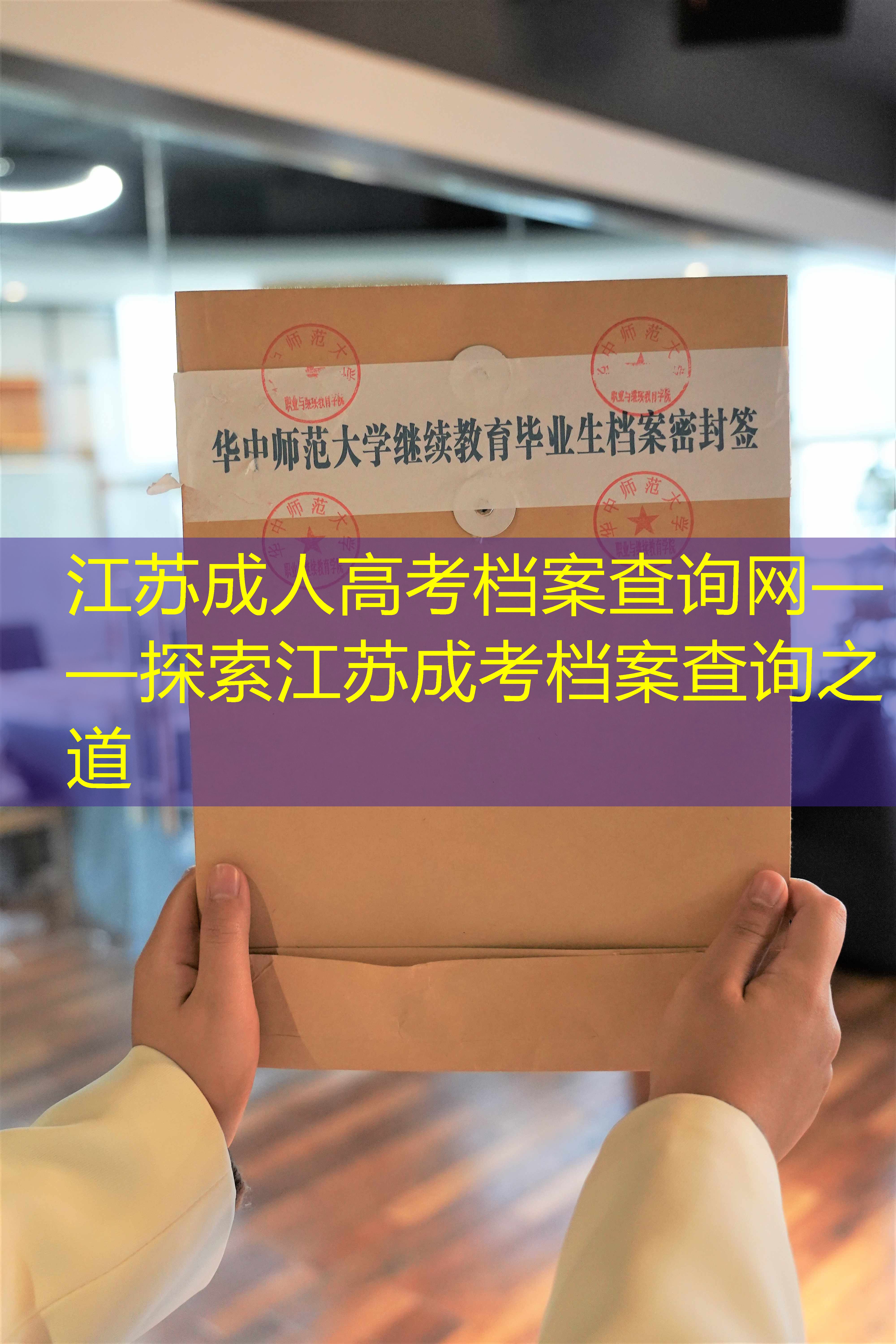 档案查询