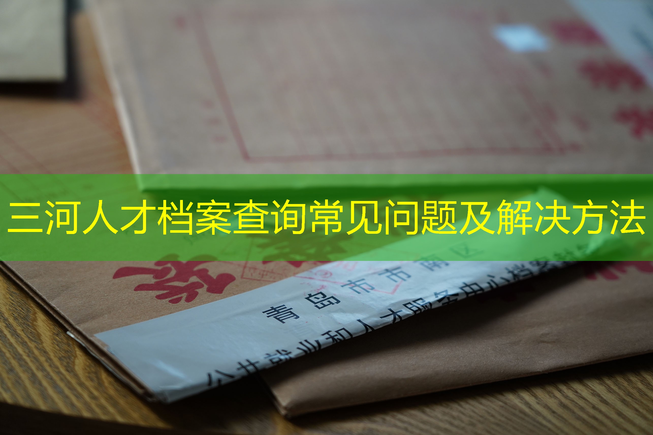 档案查询