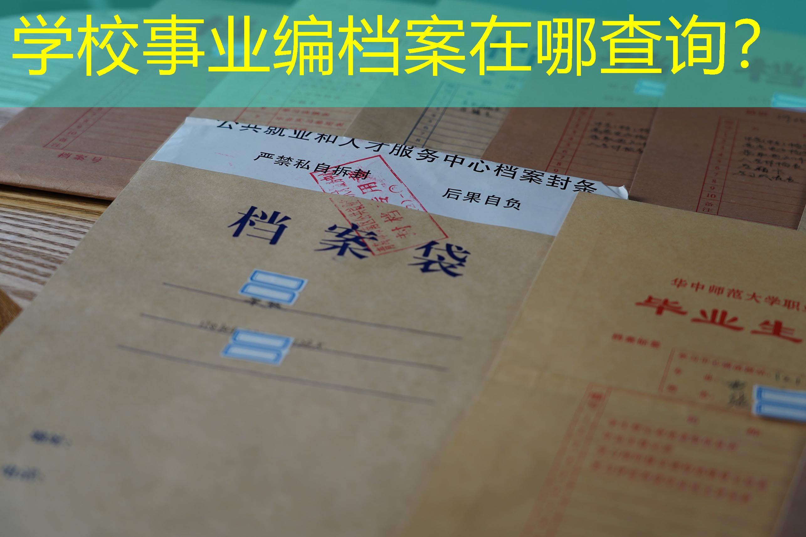 档案查询