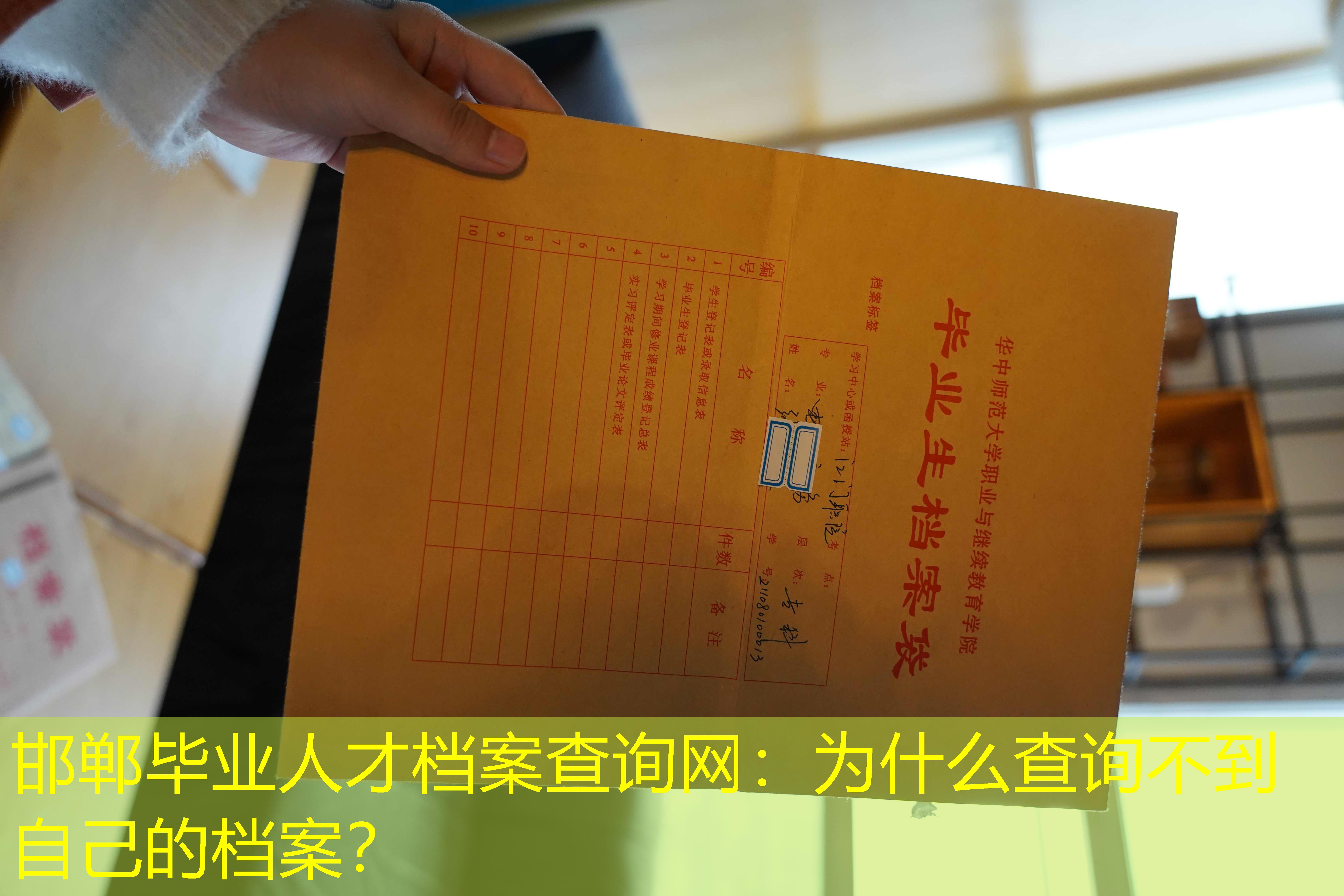 档案查询
