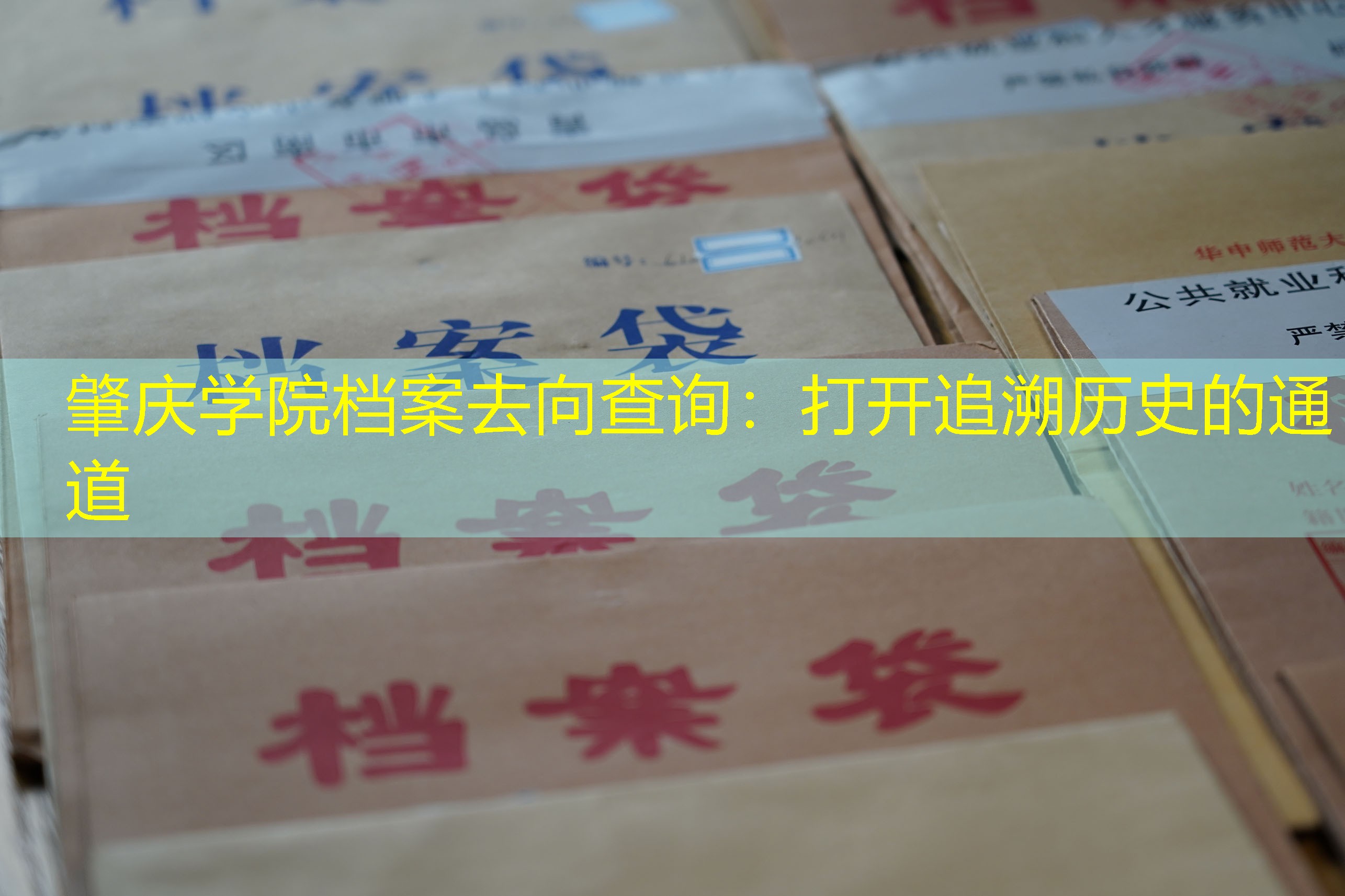 档案查询