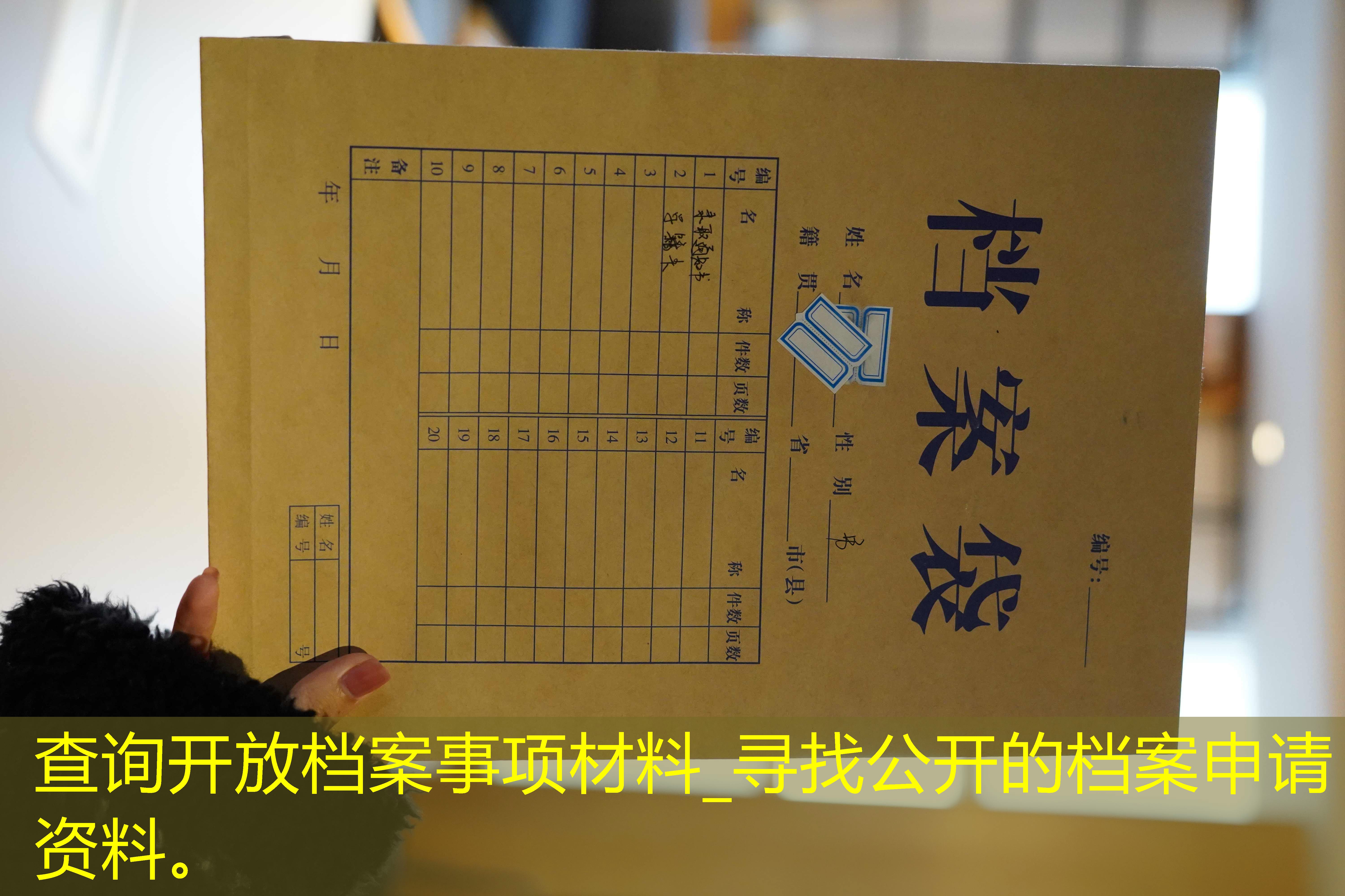 档案查询