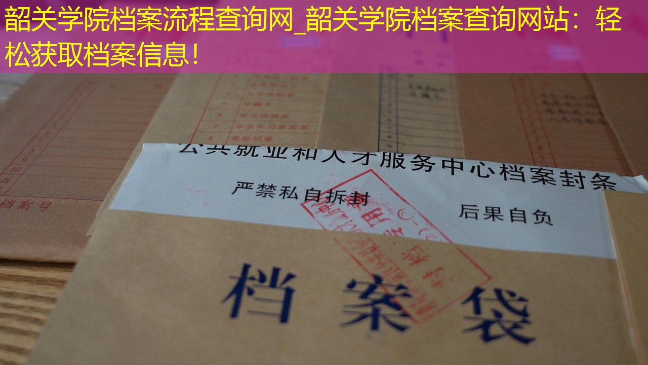档案查询