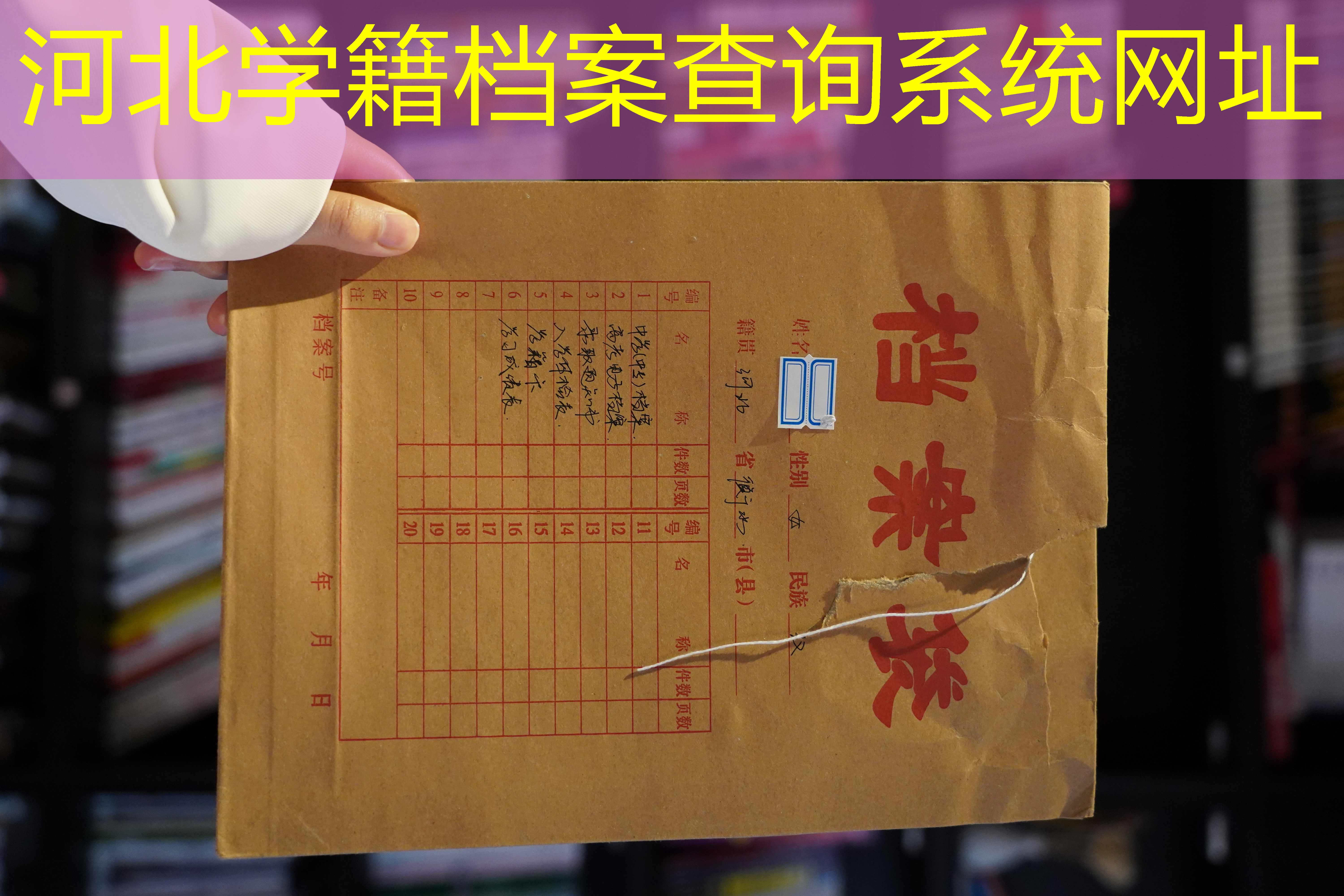 档案查询