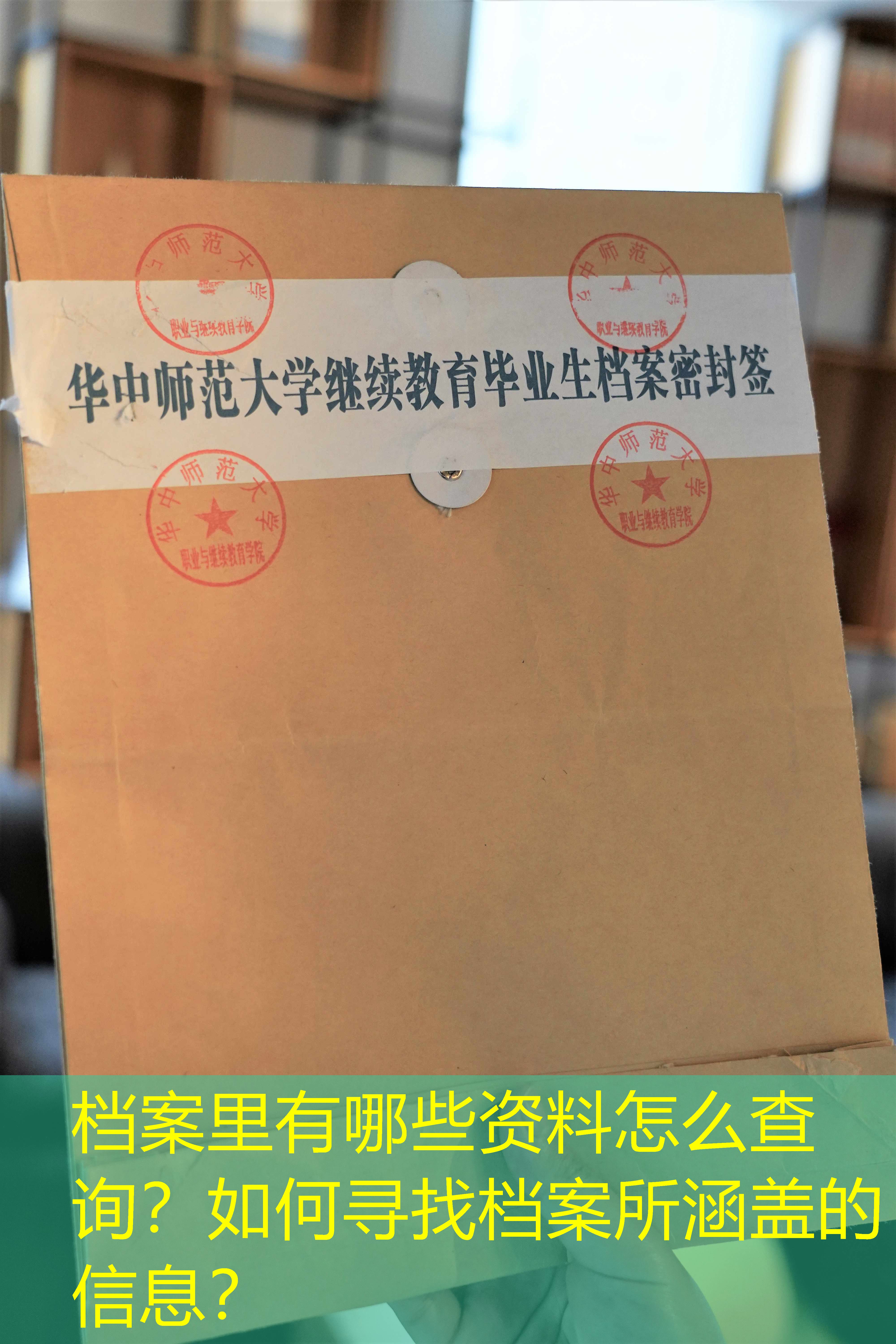 档案查询