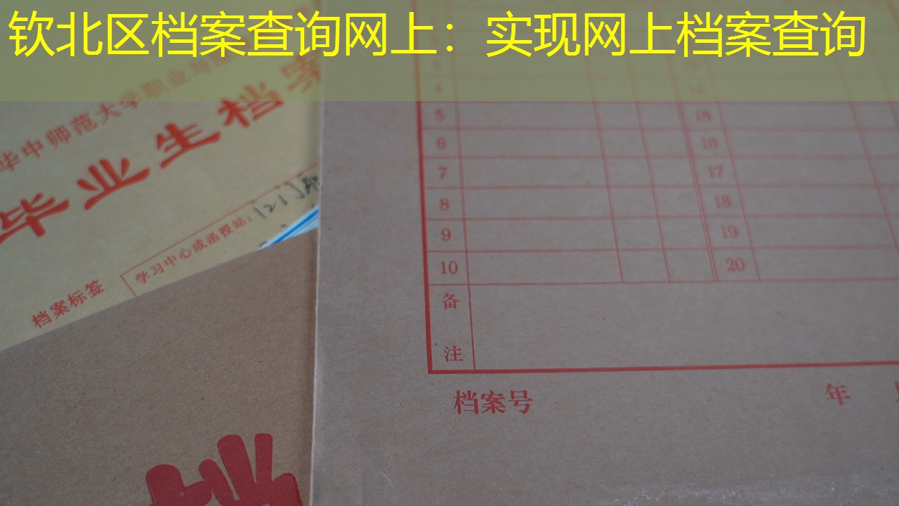 档案查询