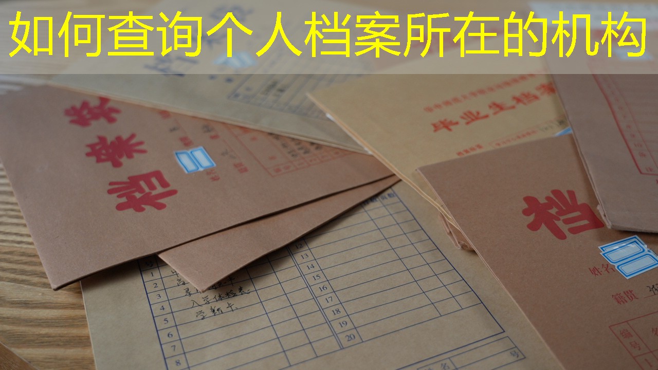 档案查询