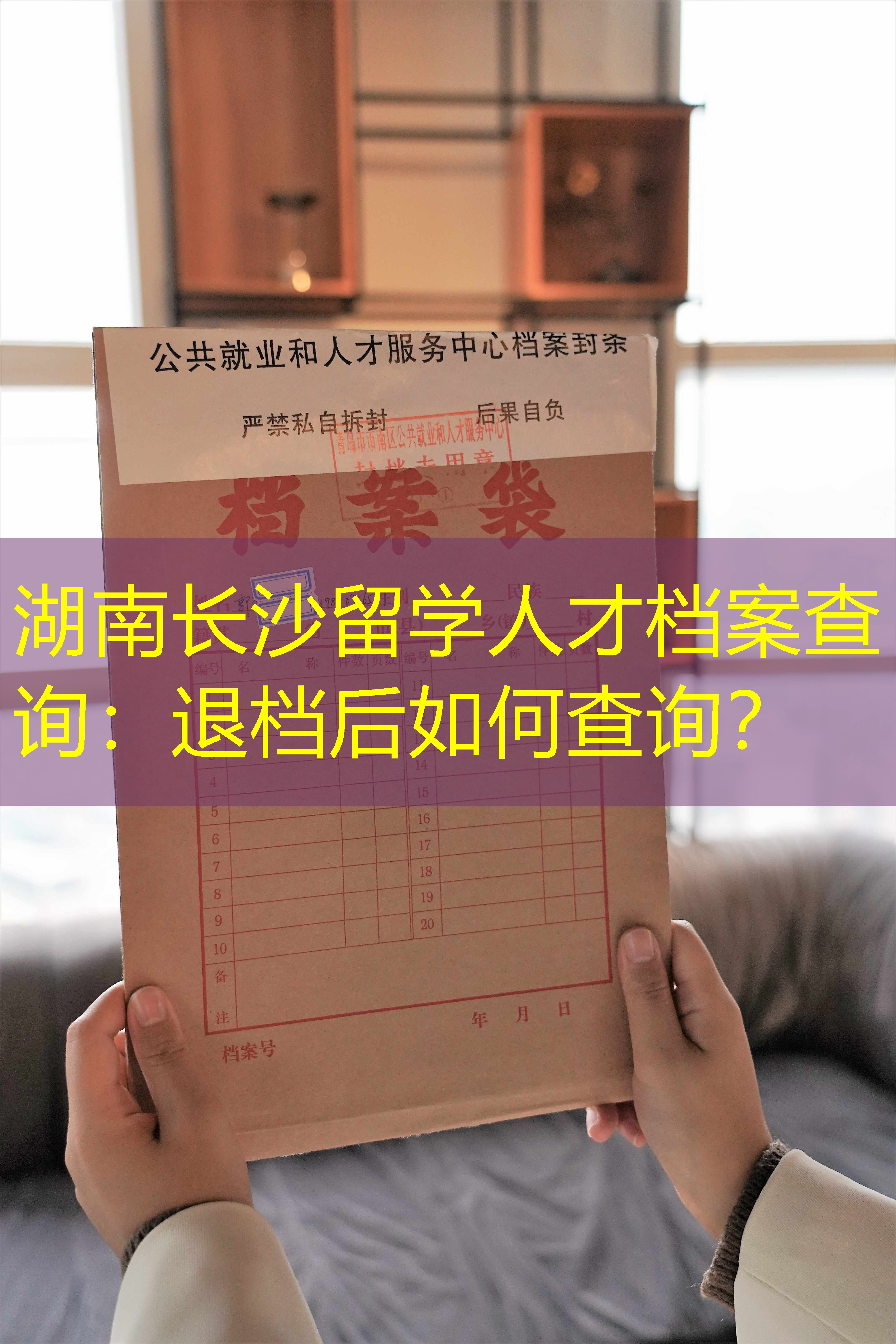 档案查询