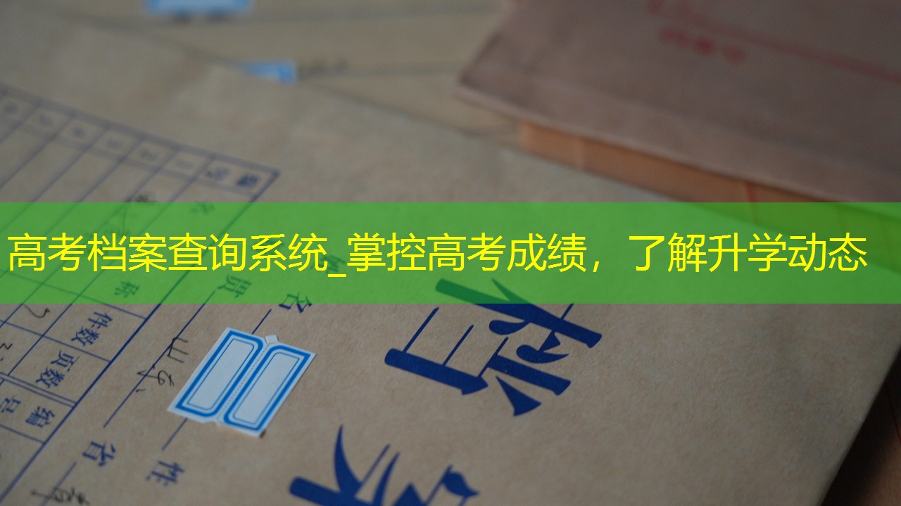 档案查询