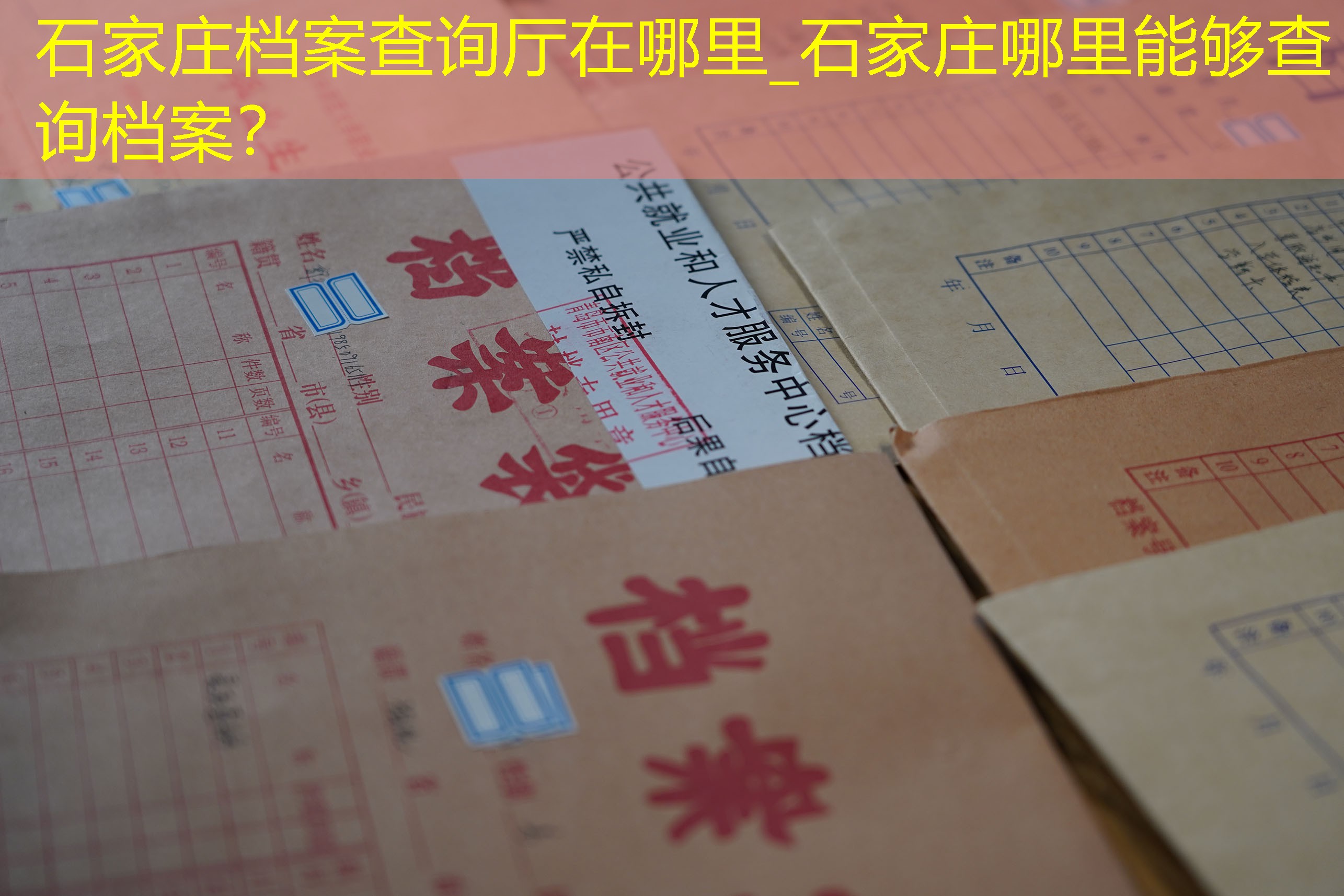 档案查询
