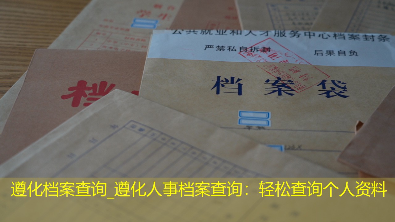 档案查询