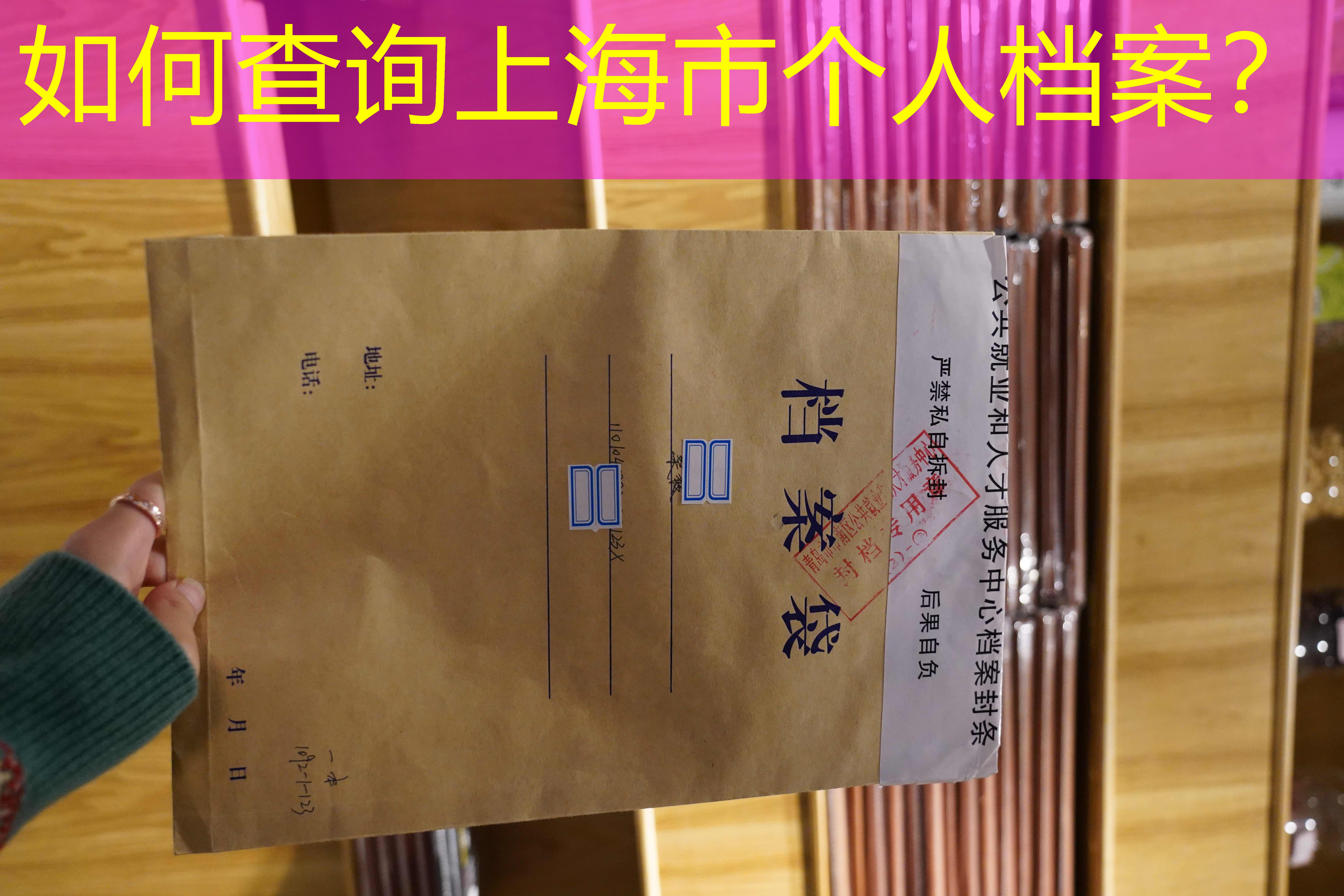 档案查询