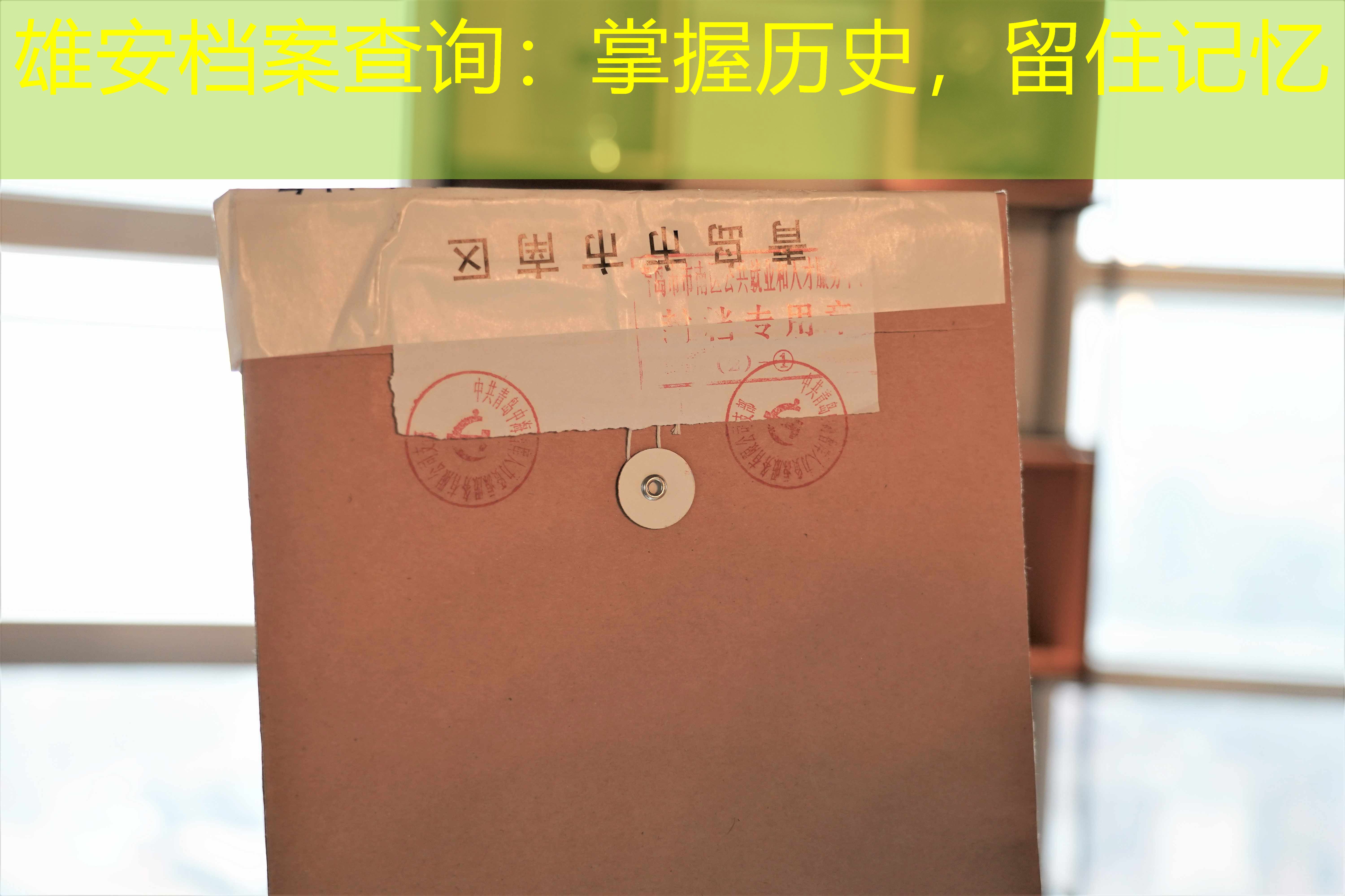 档案查询