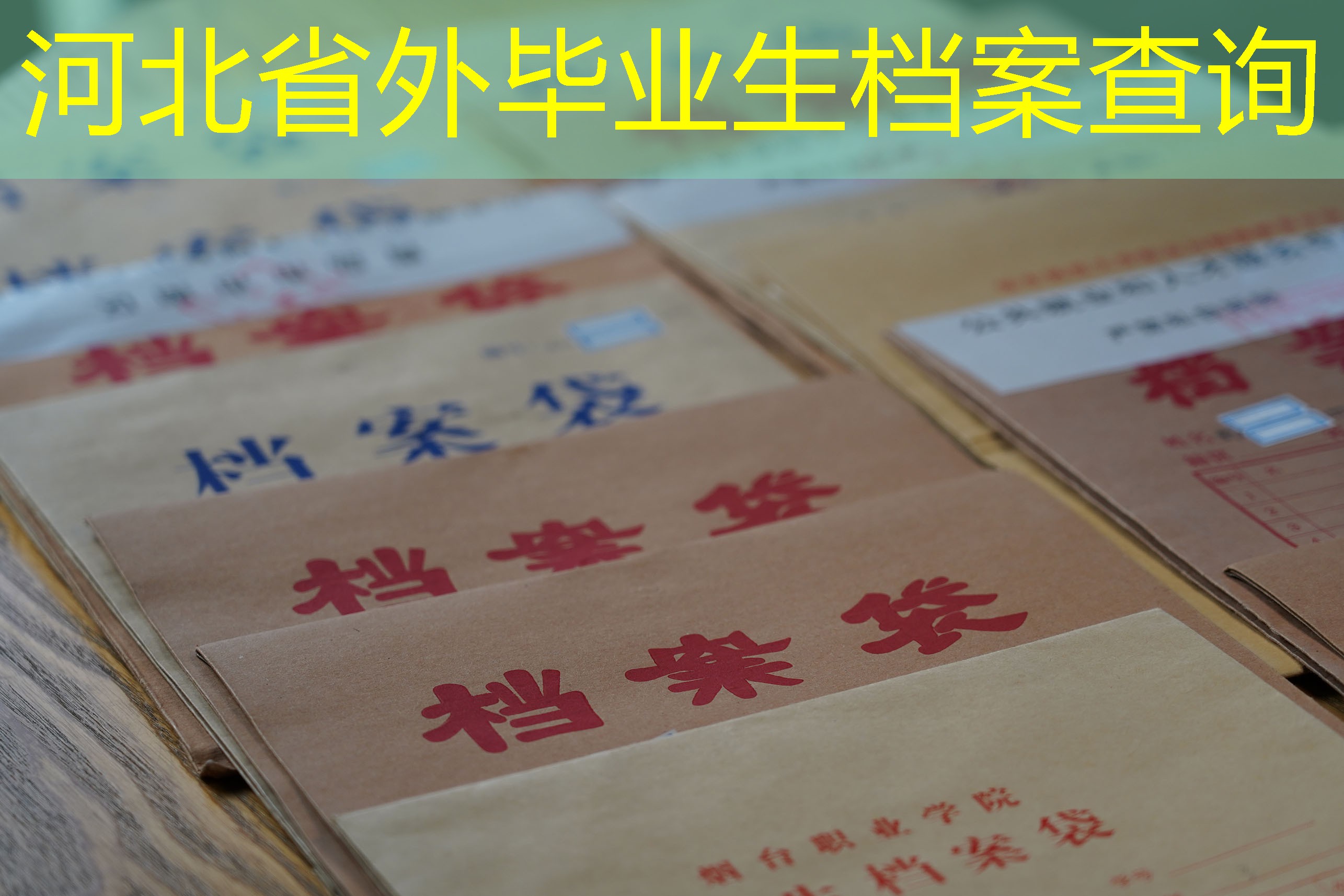档案查询