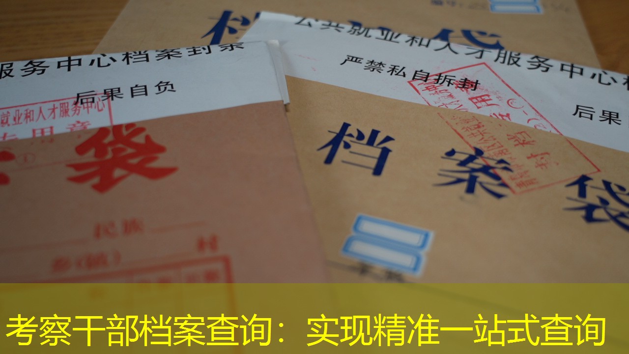 档案查询