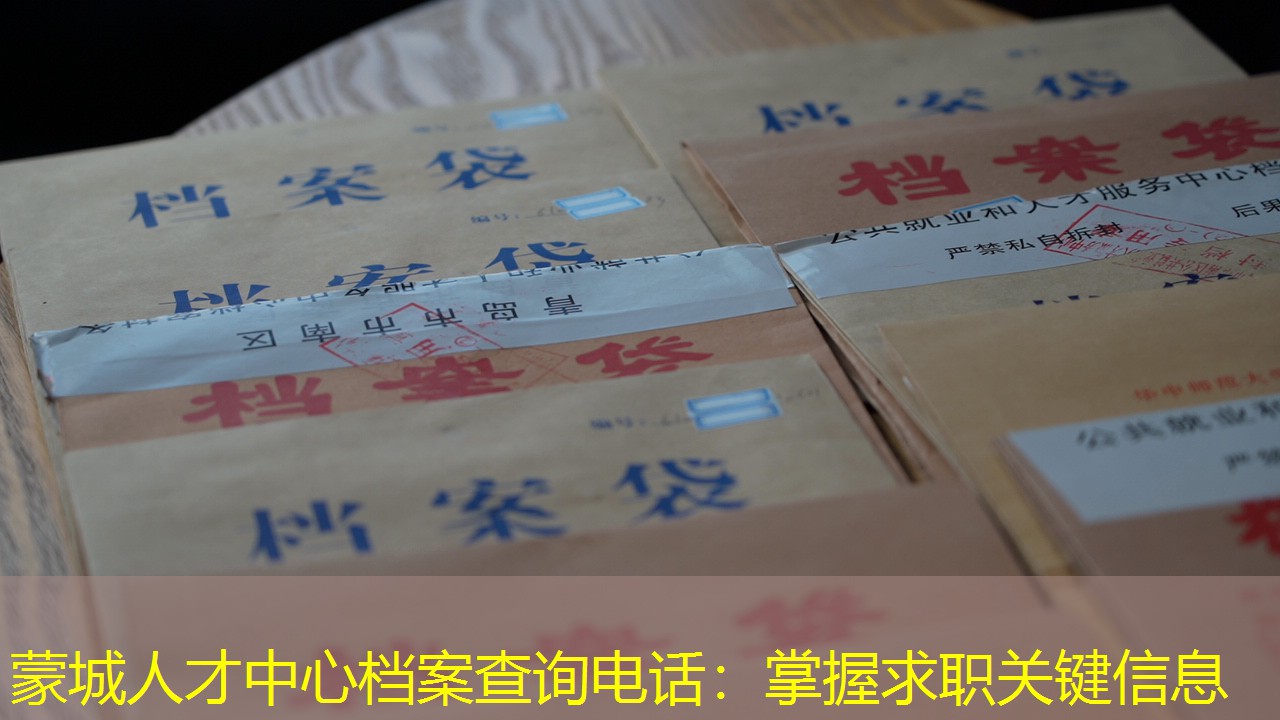 档案查询