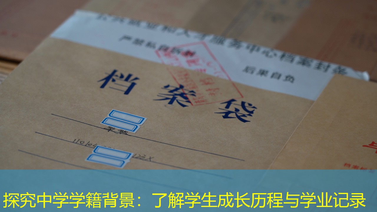 档案查询