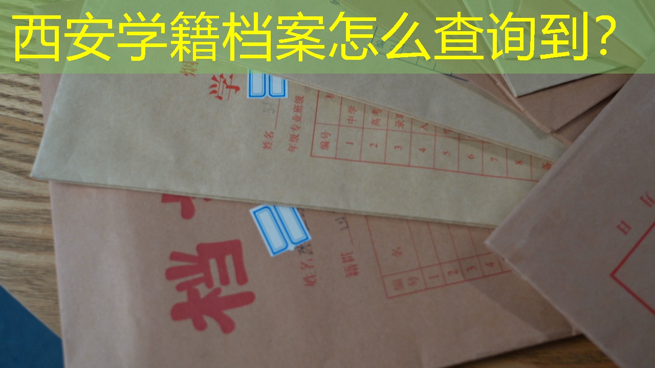 档案查询