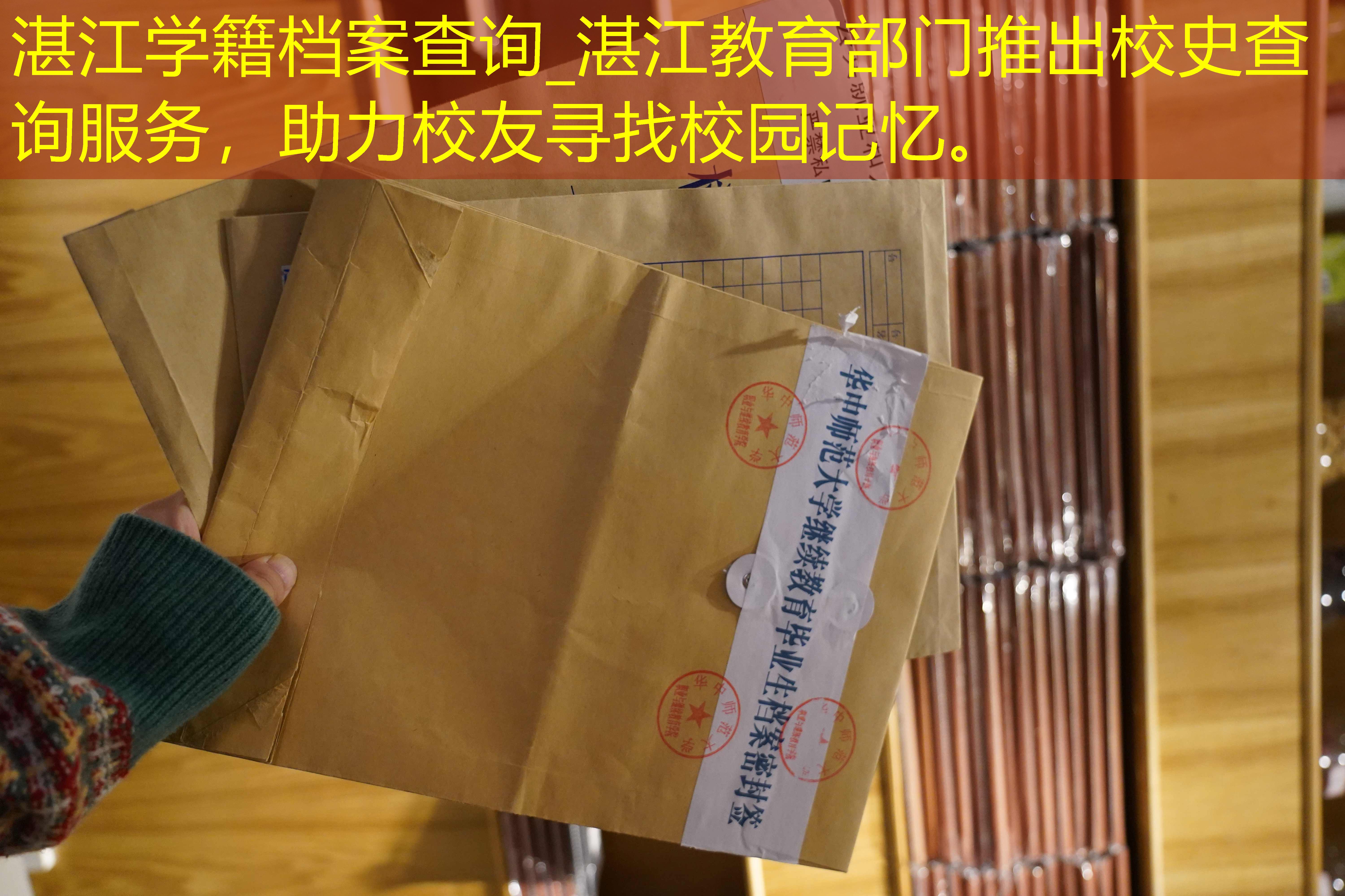 档案查询
