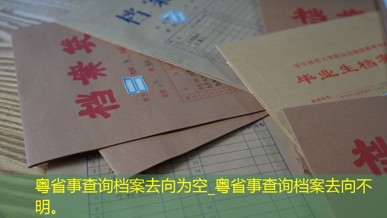 档案查询