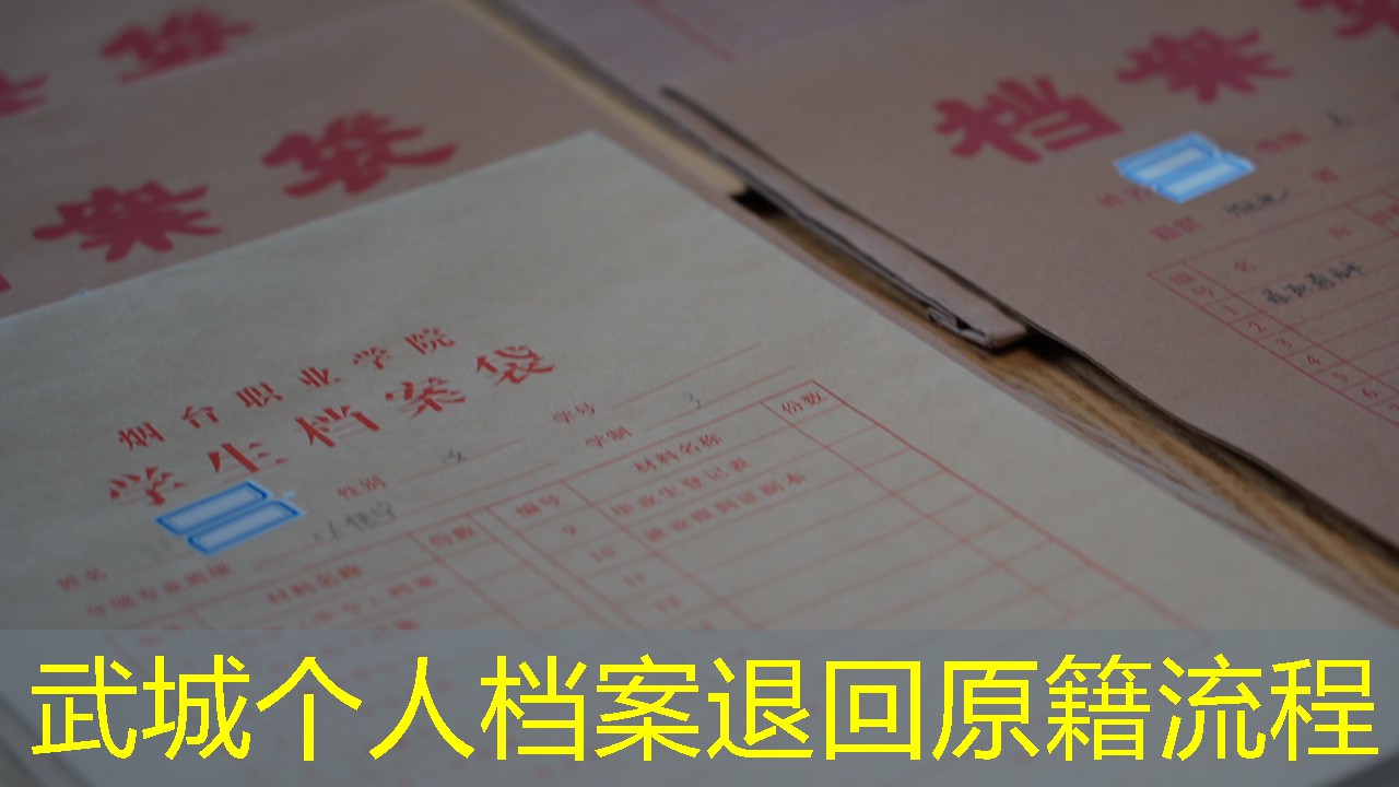 档案查询