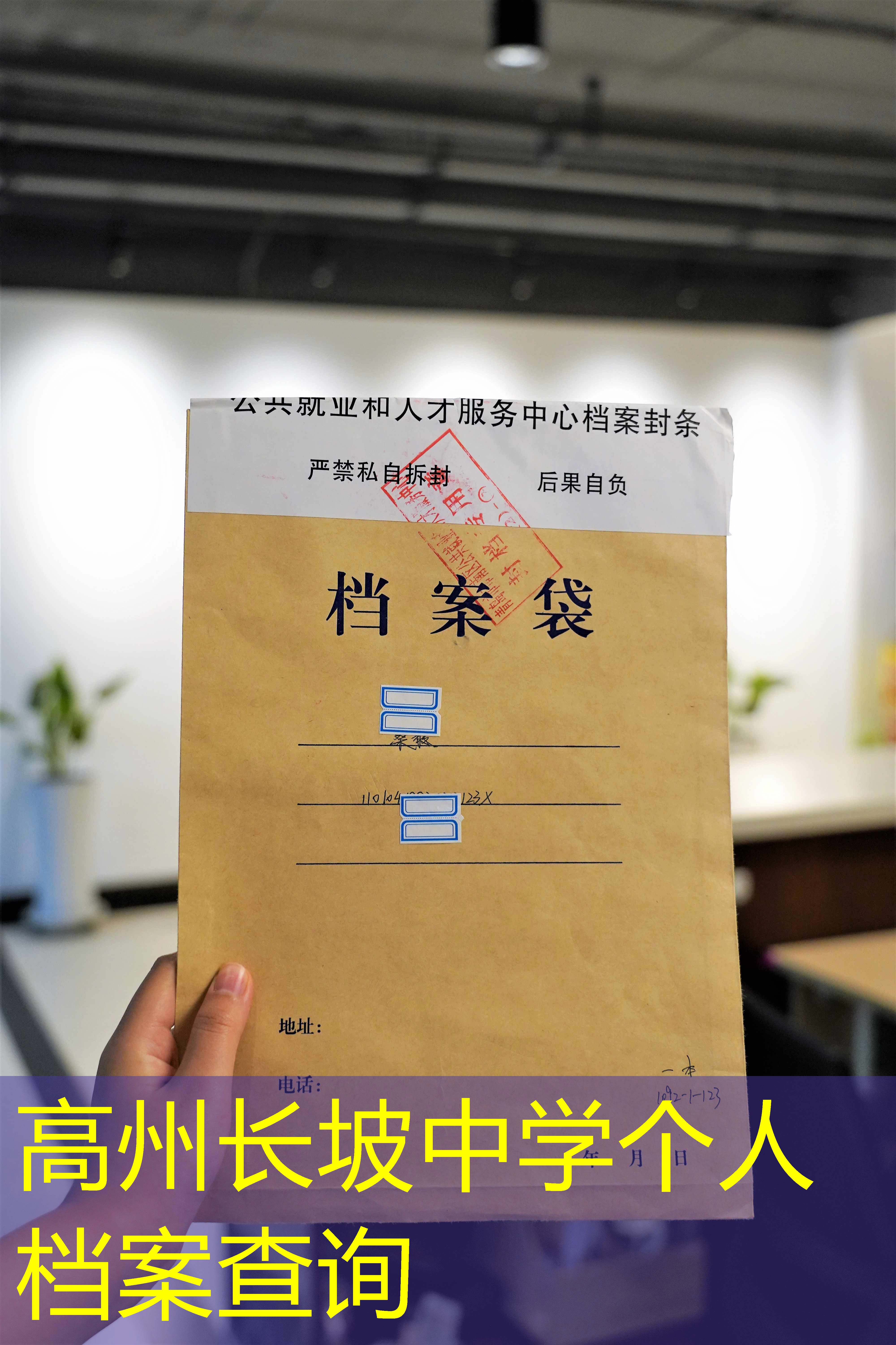 档案查询