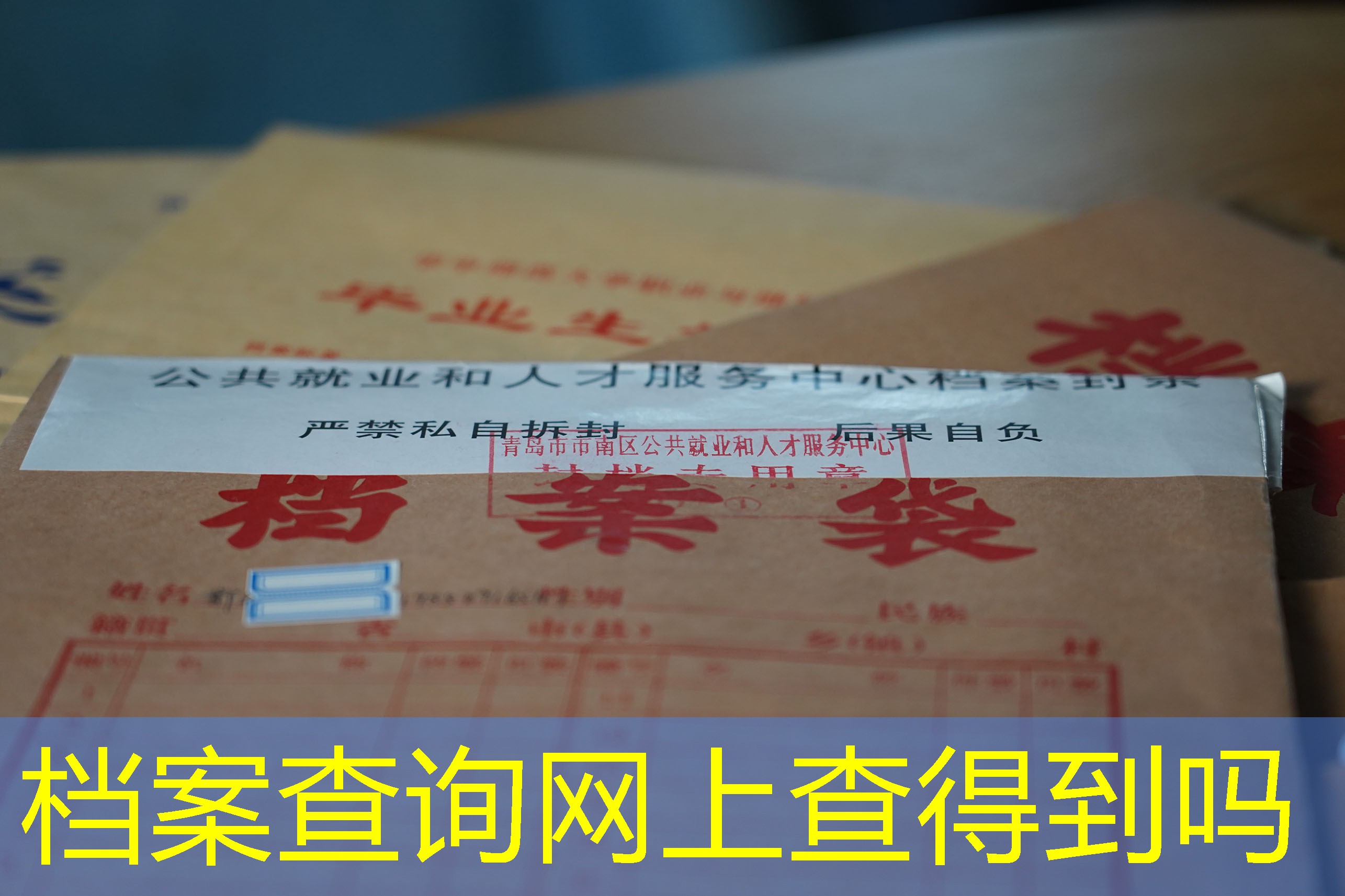 档案查询
