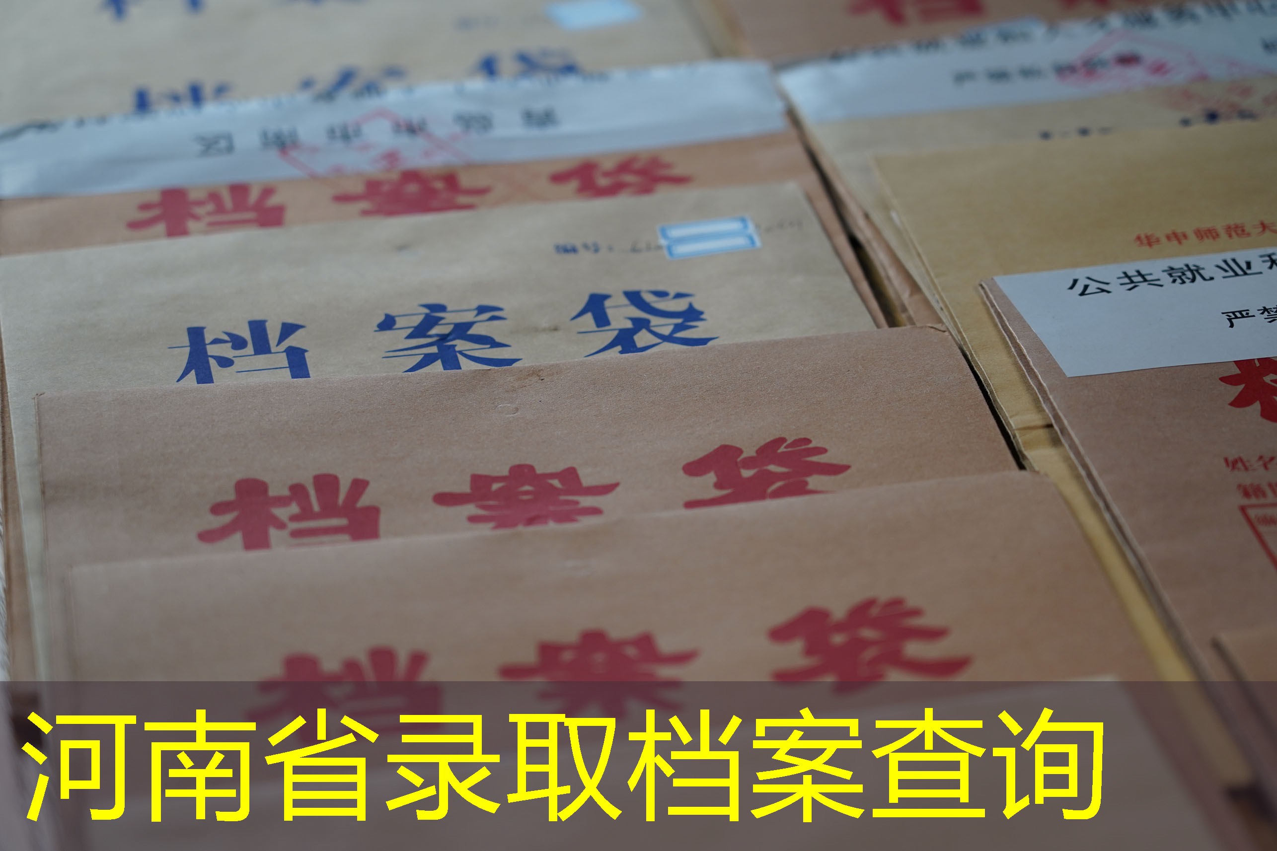 档案查询
