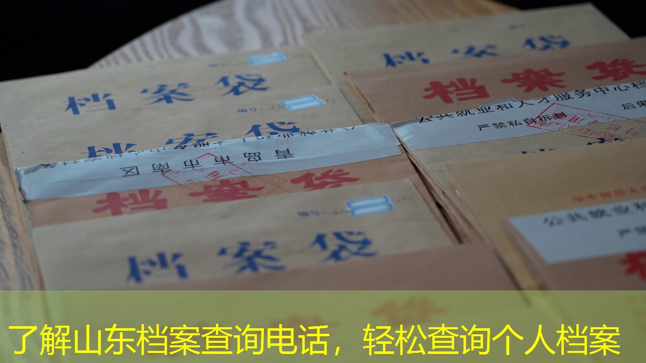 档案查询