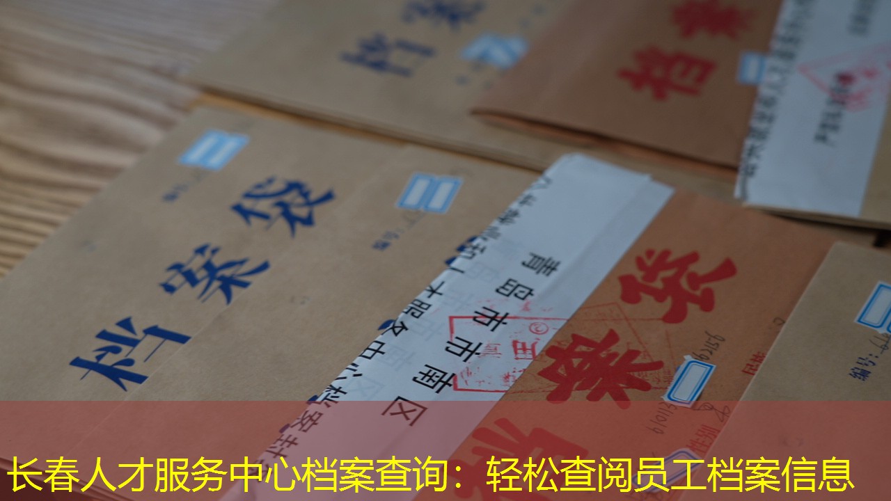档案查询