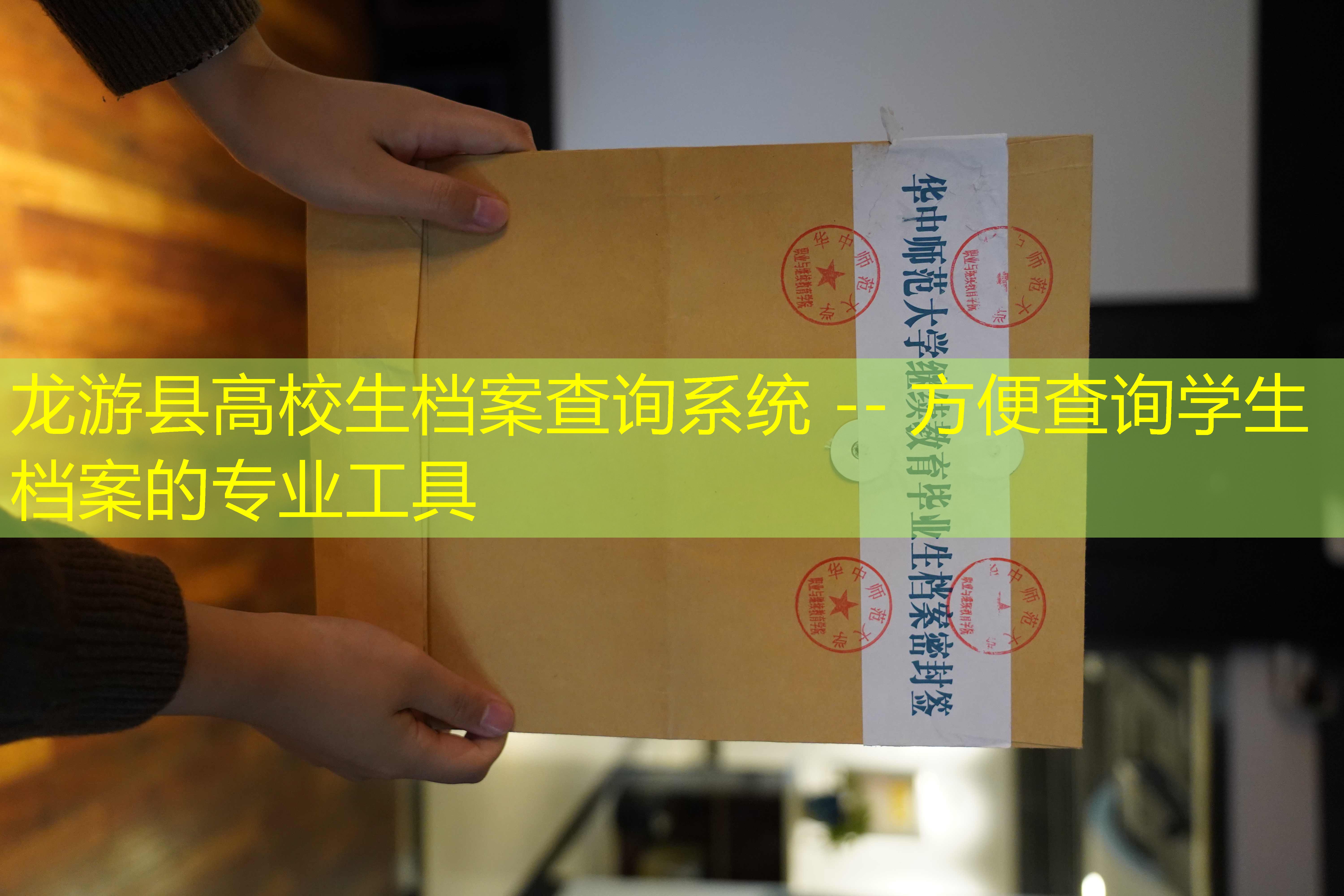 档案查询