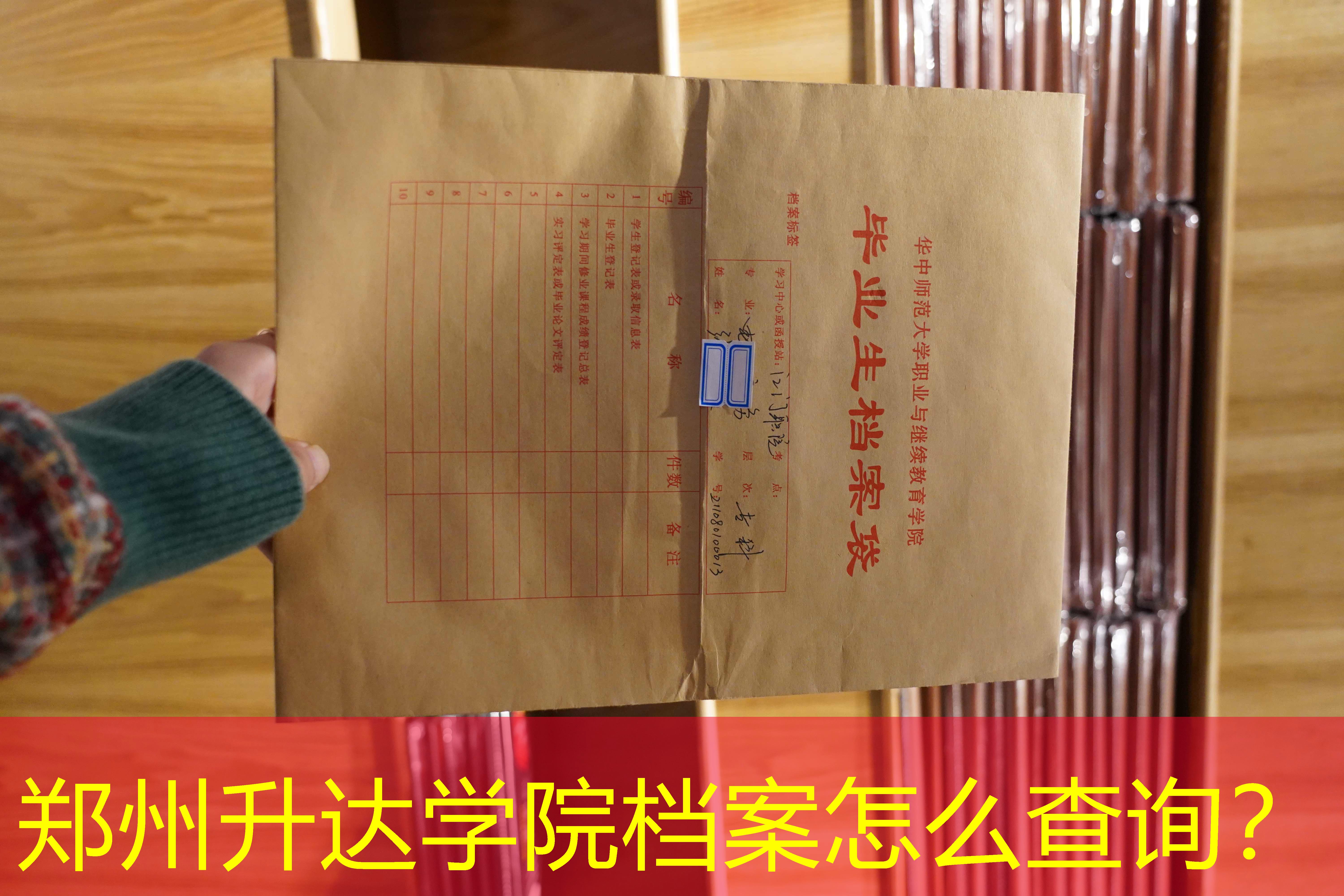 档案查询