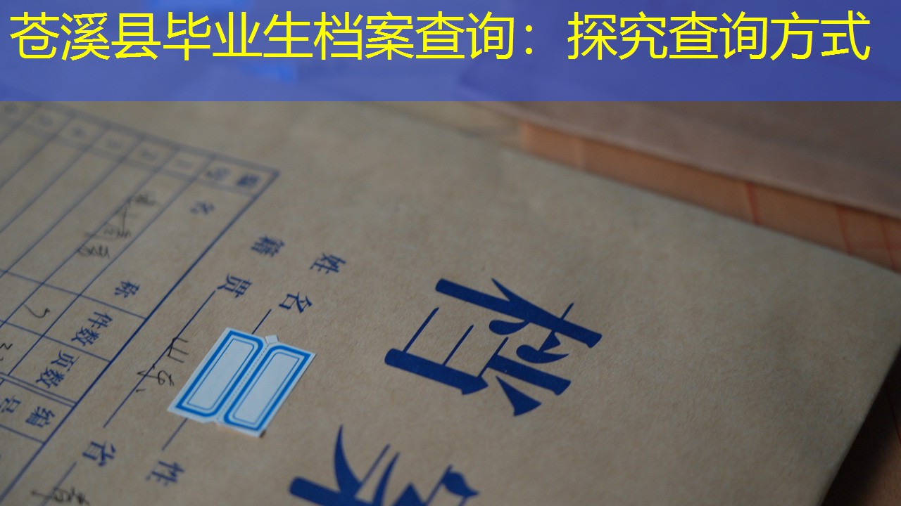 档案查询