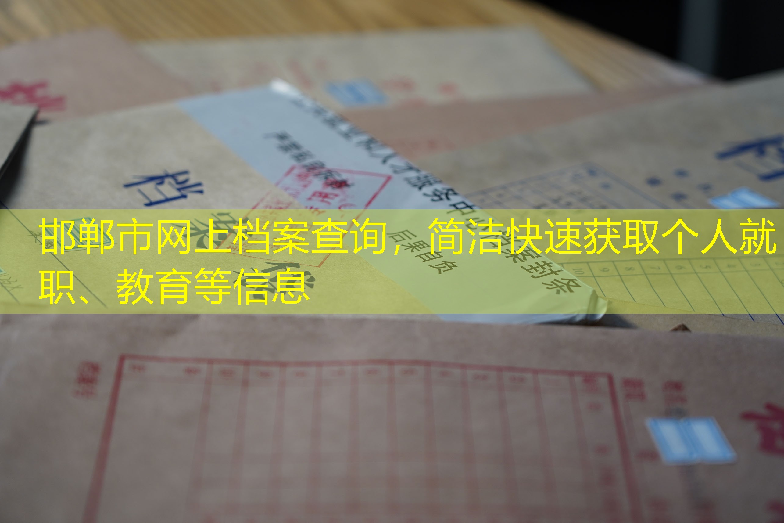 档案查询