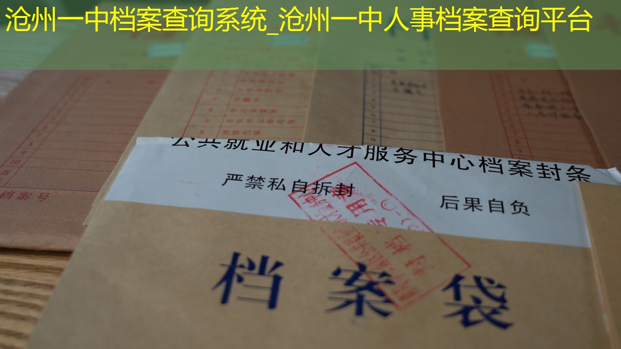 档案查询