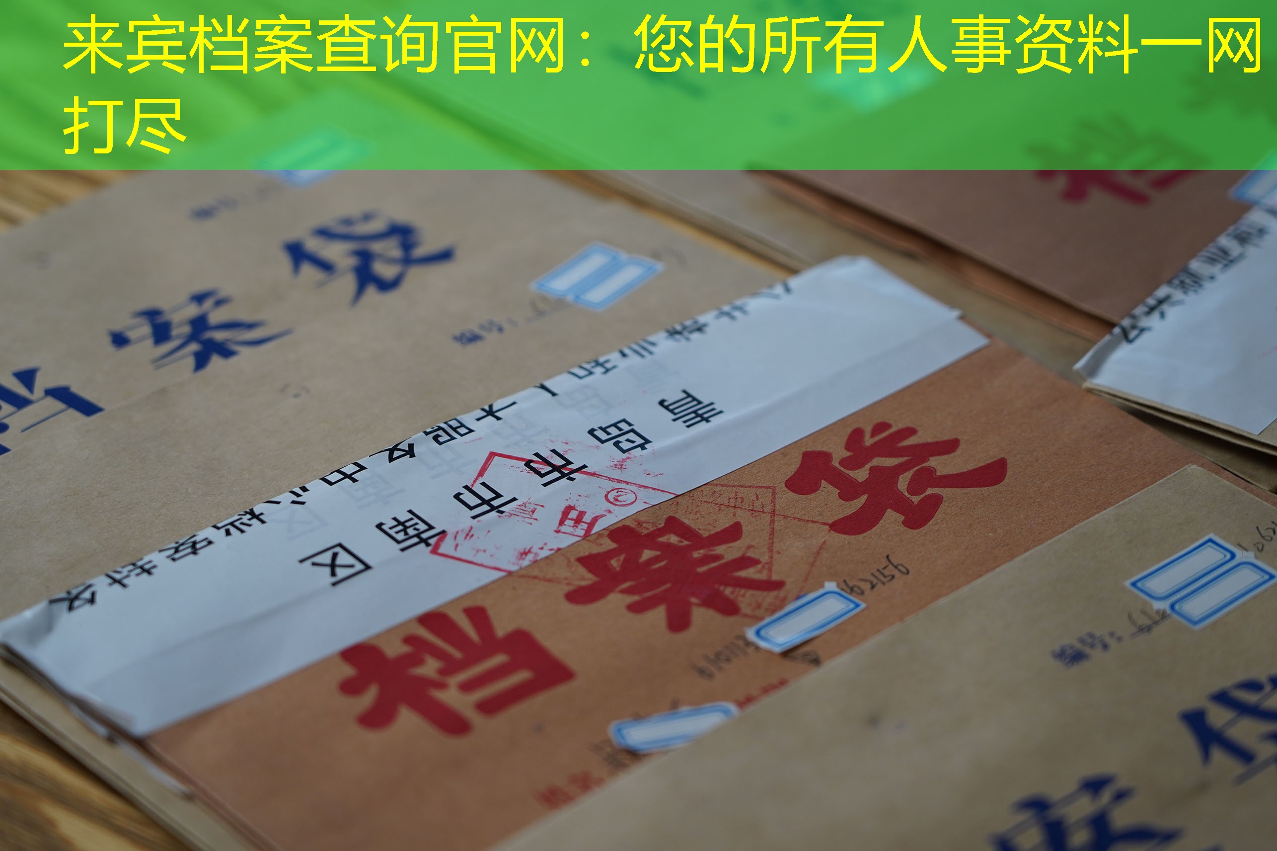 档案查询