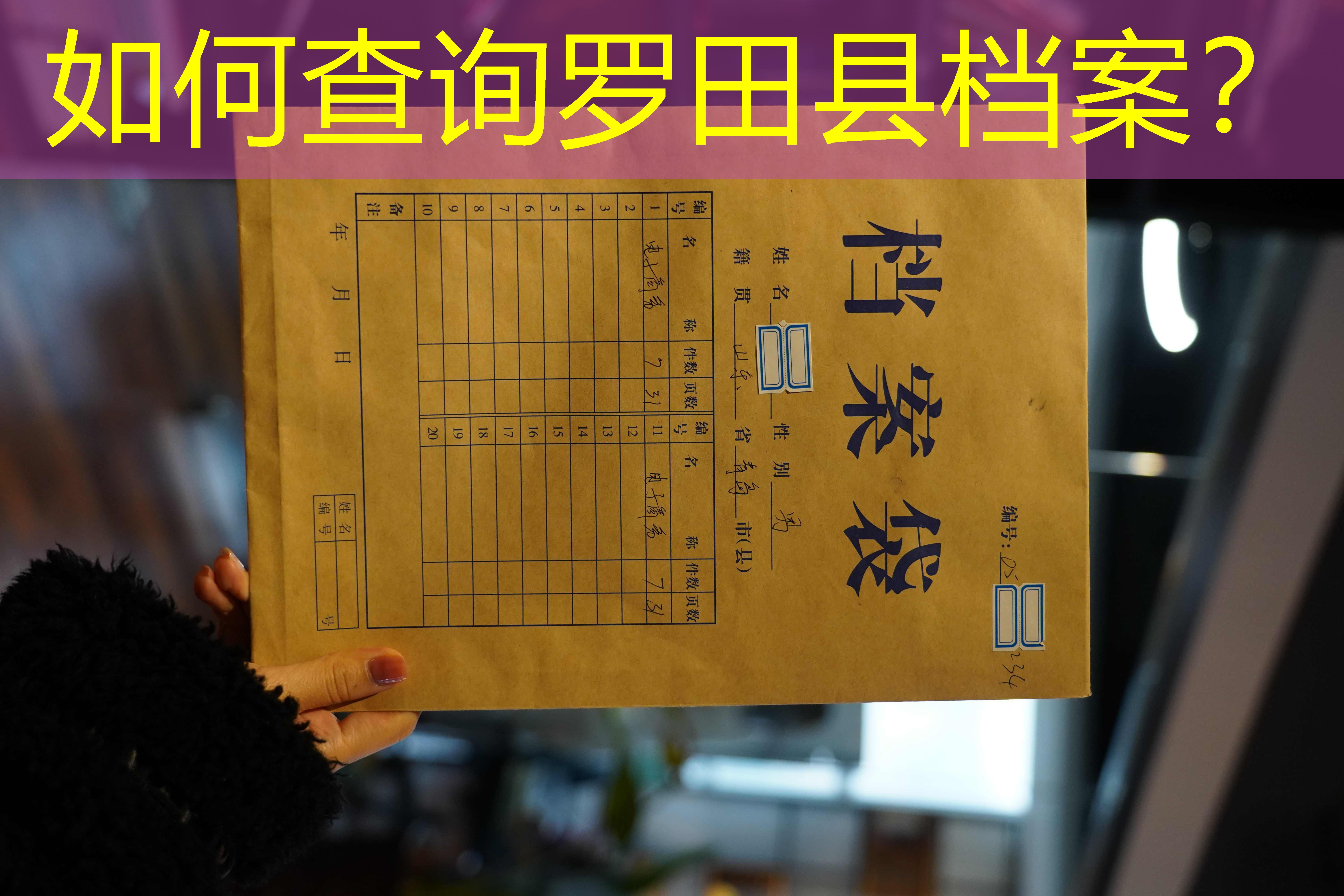 档案查询