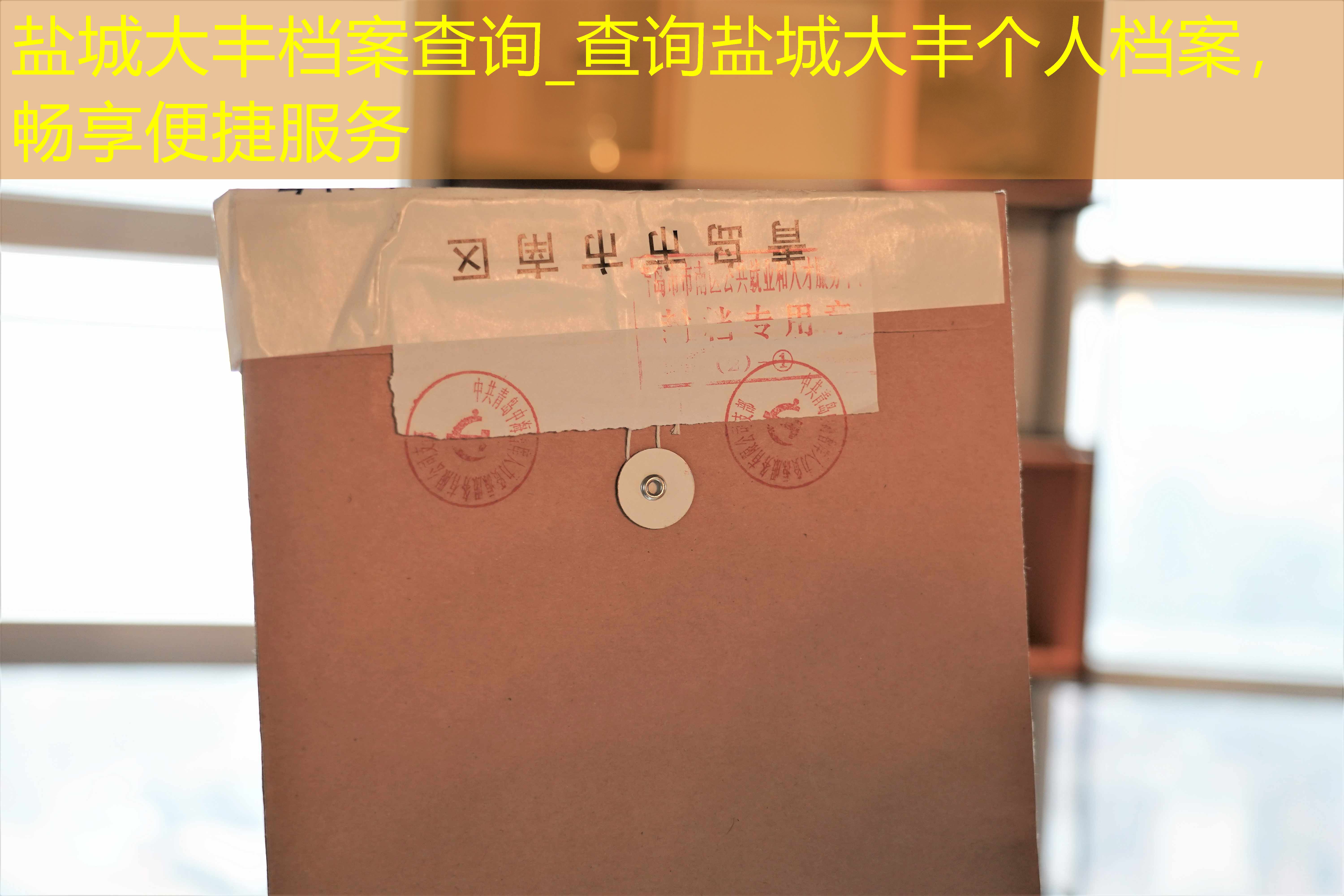 档案查询