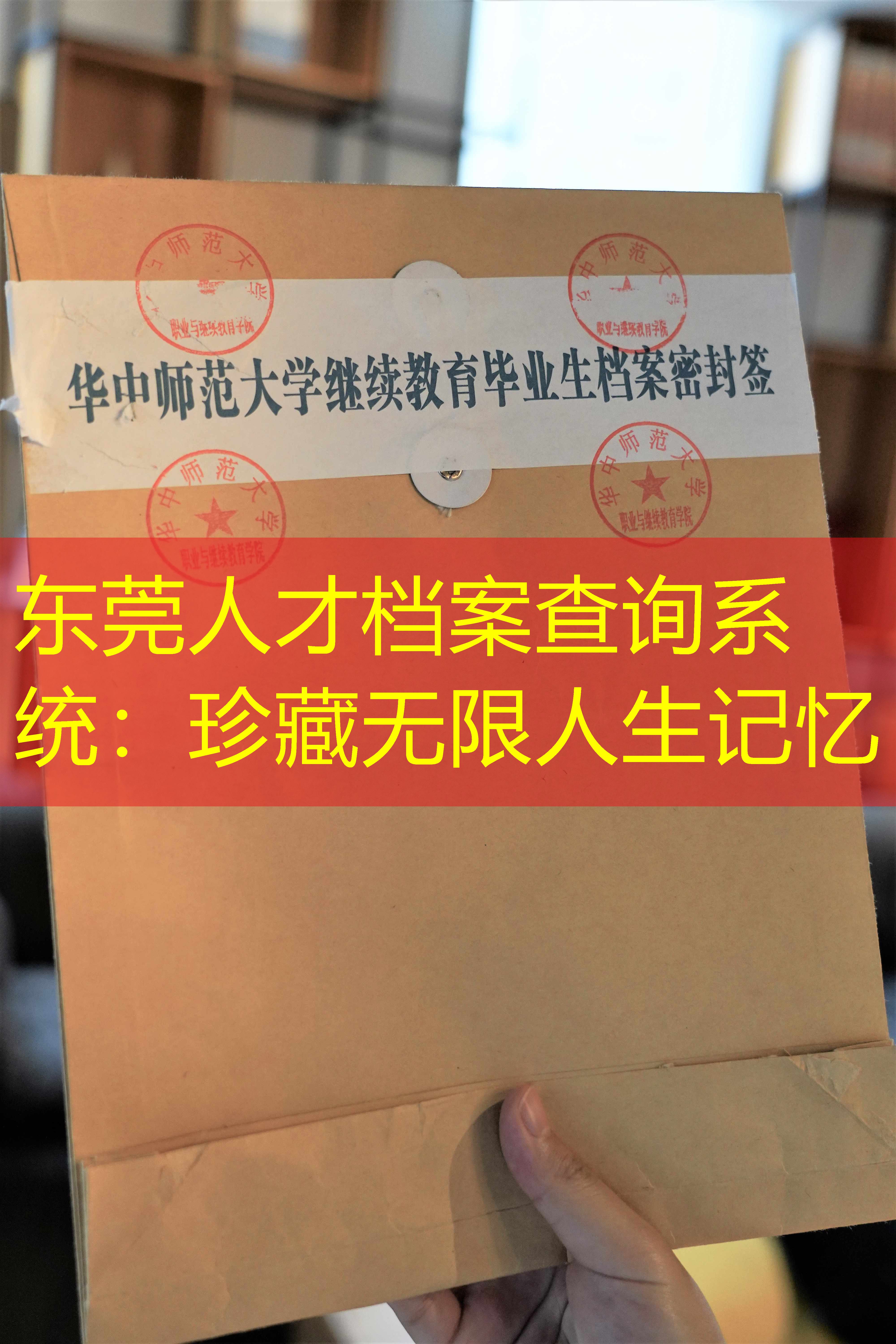 档案查询