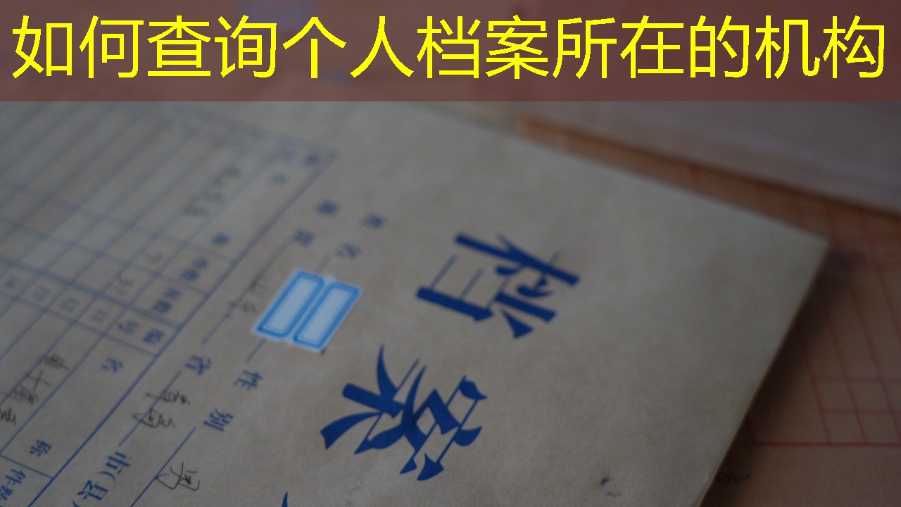 档案查询