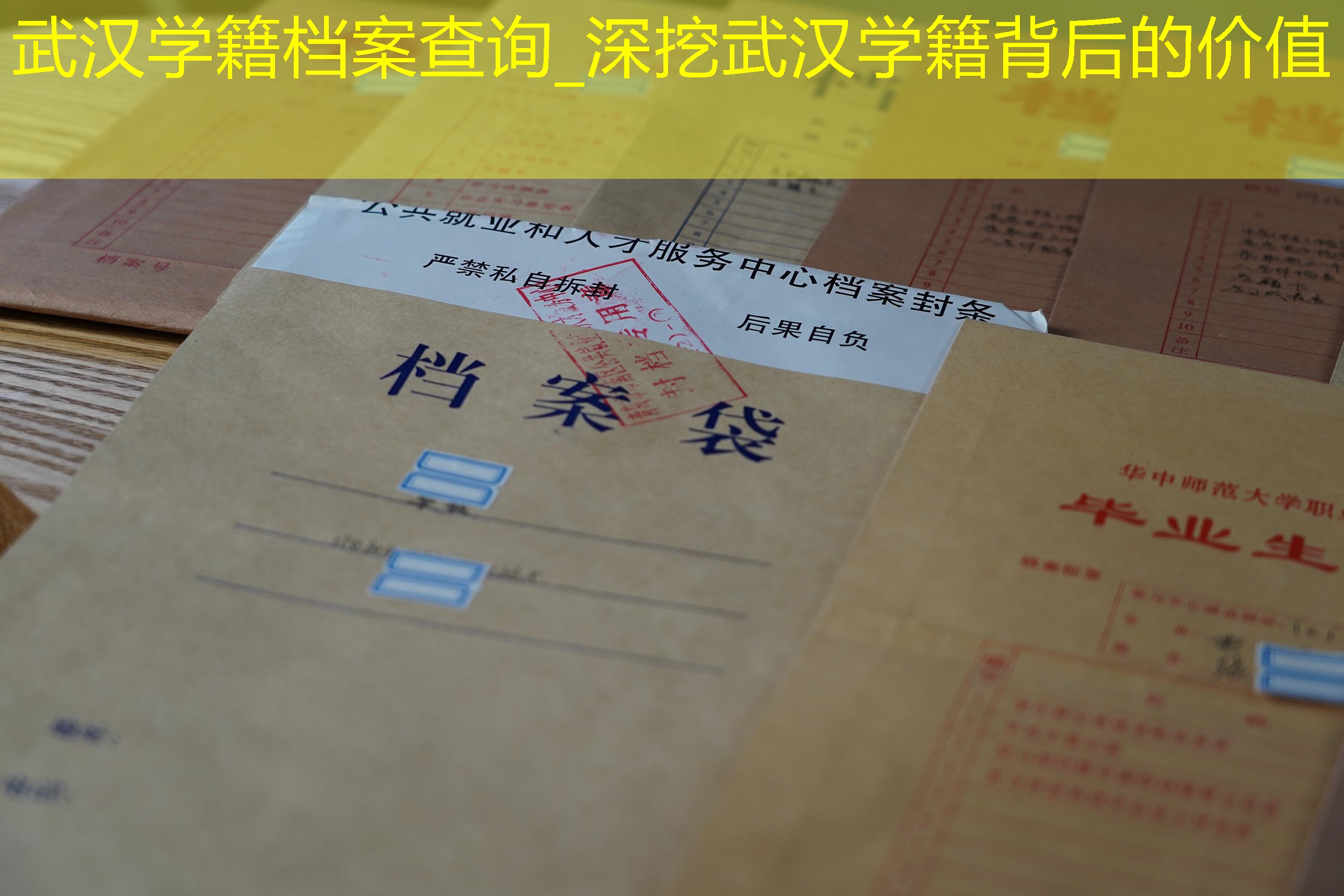 档案查询