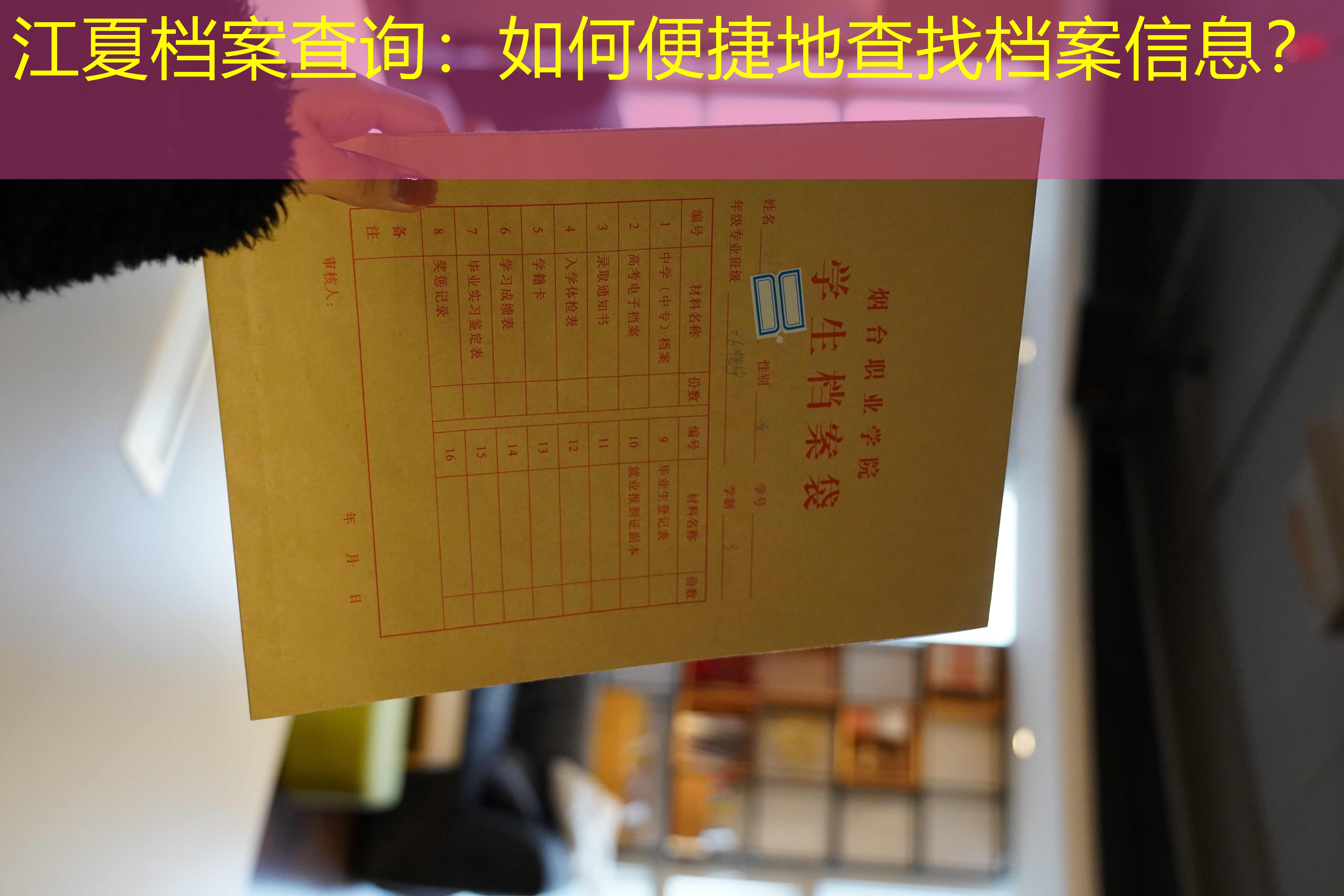 档案查询