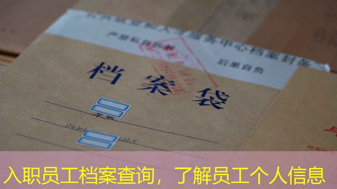 档案查询